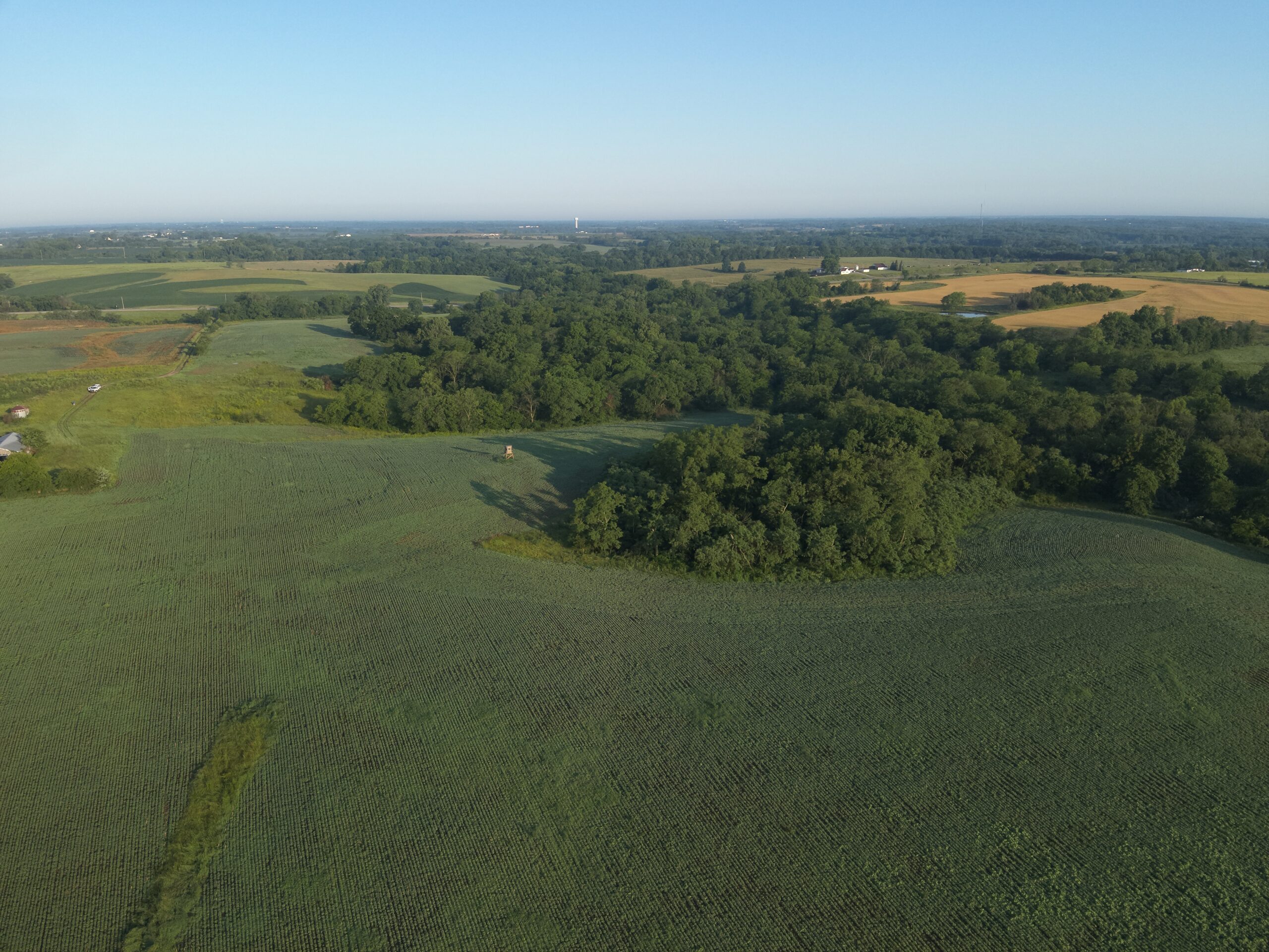 Appanoose County 158+/- Acres – Hunting, Income & Building Potential