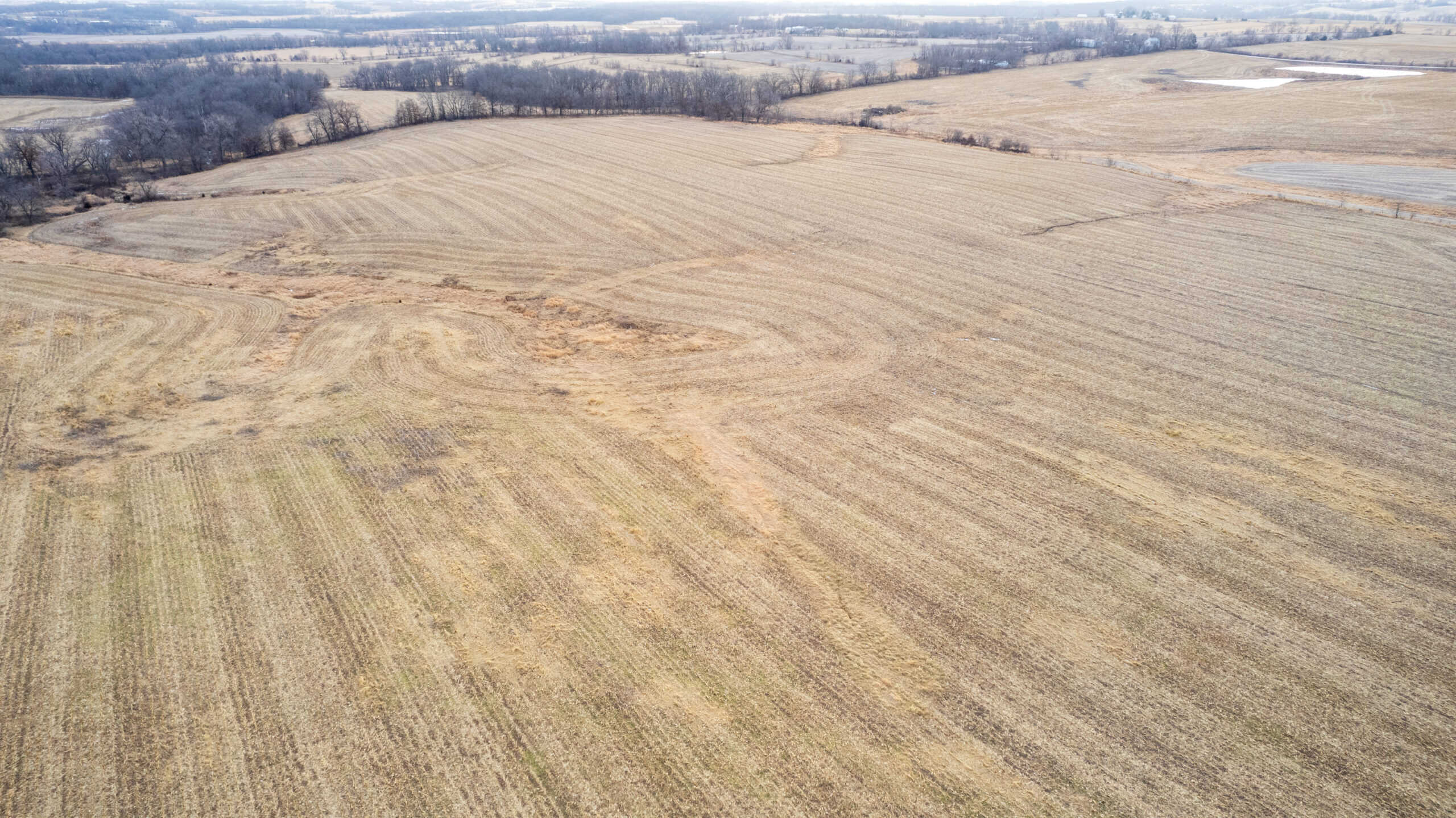 Appanoose County 158+/- Acres – Hunting, Income & Building Potential