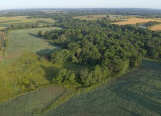 Appanoose County 158+/- Acres – Hunting, Income & Building Potential