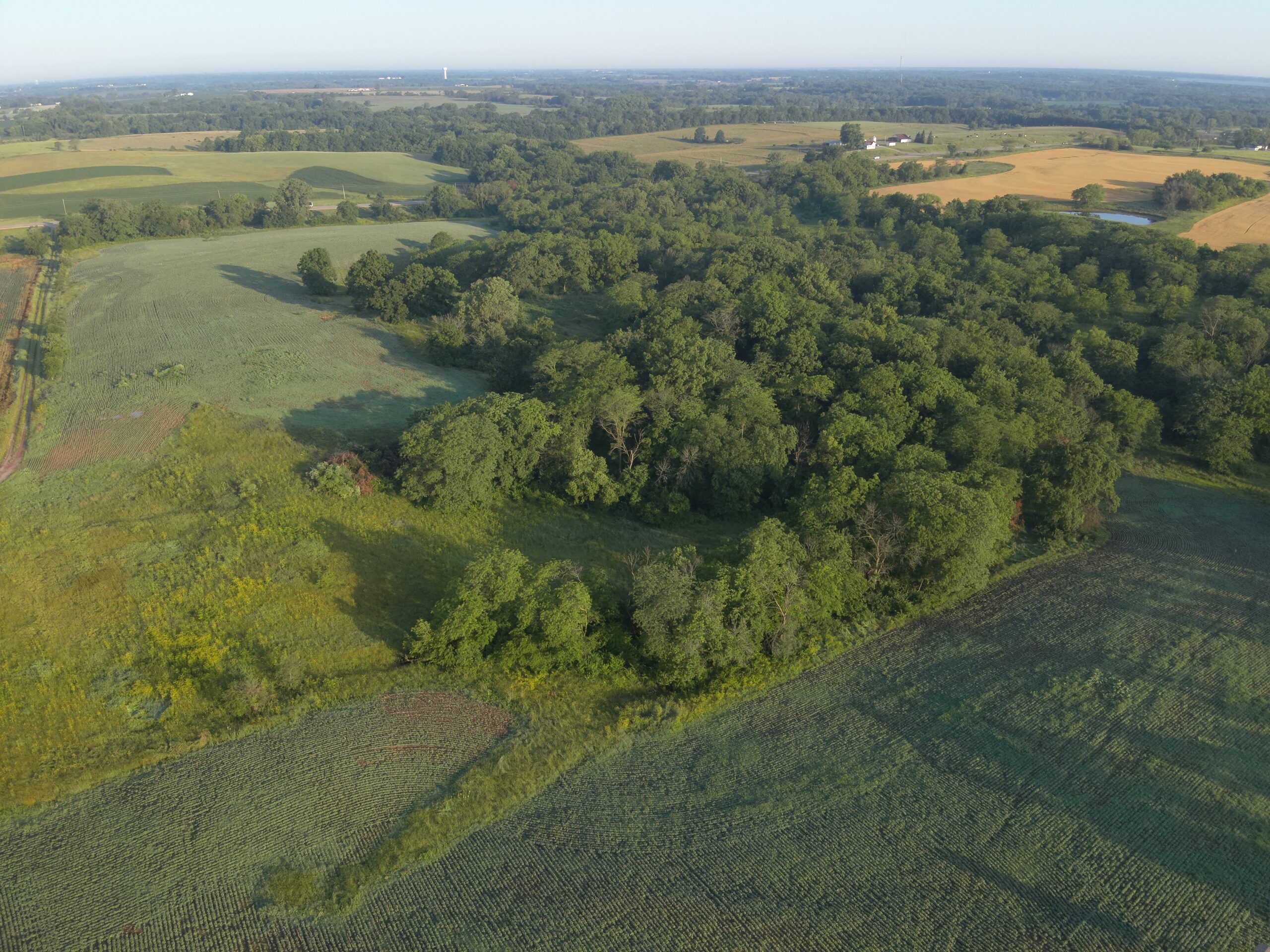 Appanoose County 158+/- Acres – Hunting, Income & Building Potential