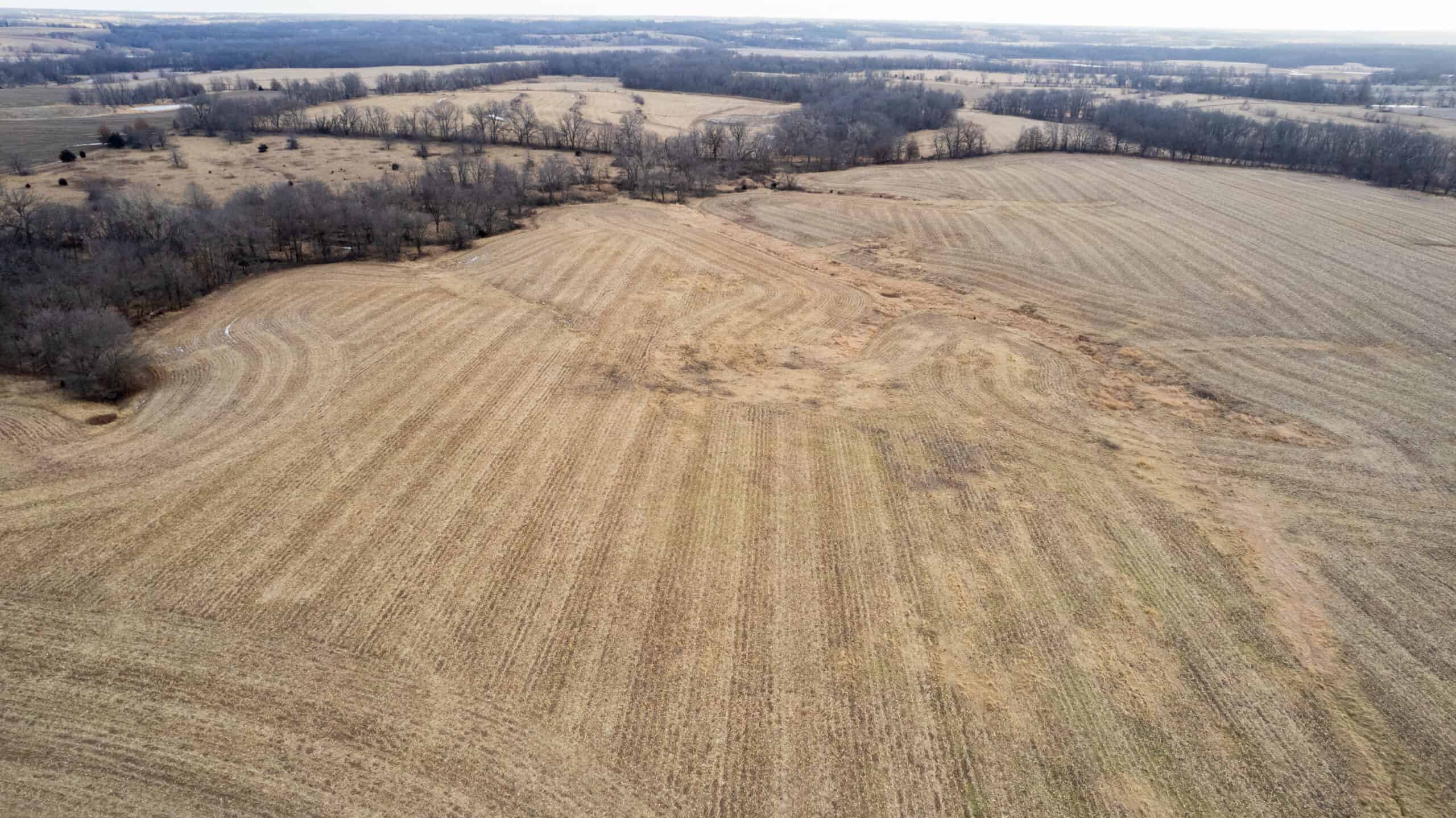 Appanoose County 158+/- Acres – Hunting, Income & Building Potential