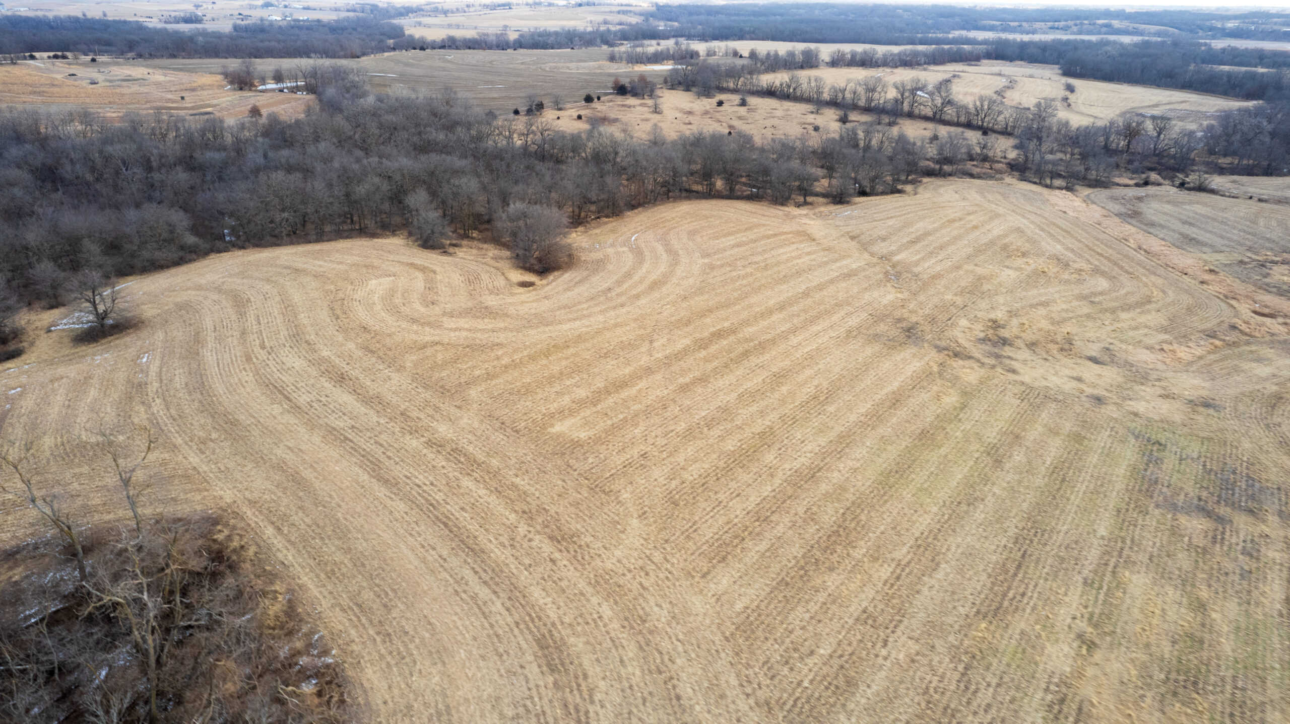 Appanoose County 158+/- Acres – Hunting, Income & Building Potential