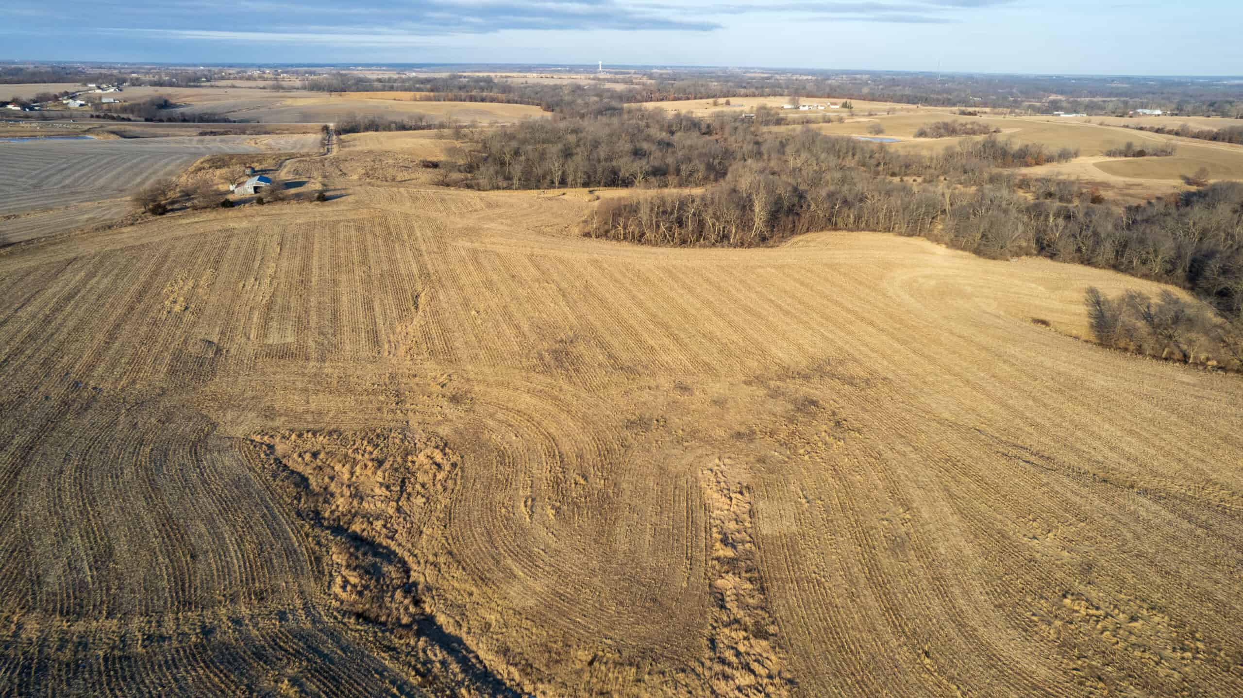 Appanoose County 158+/- Acres – Hunting, Income & Building Potential