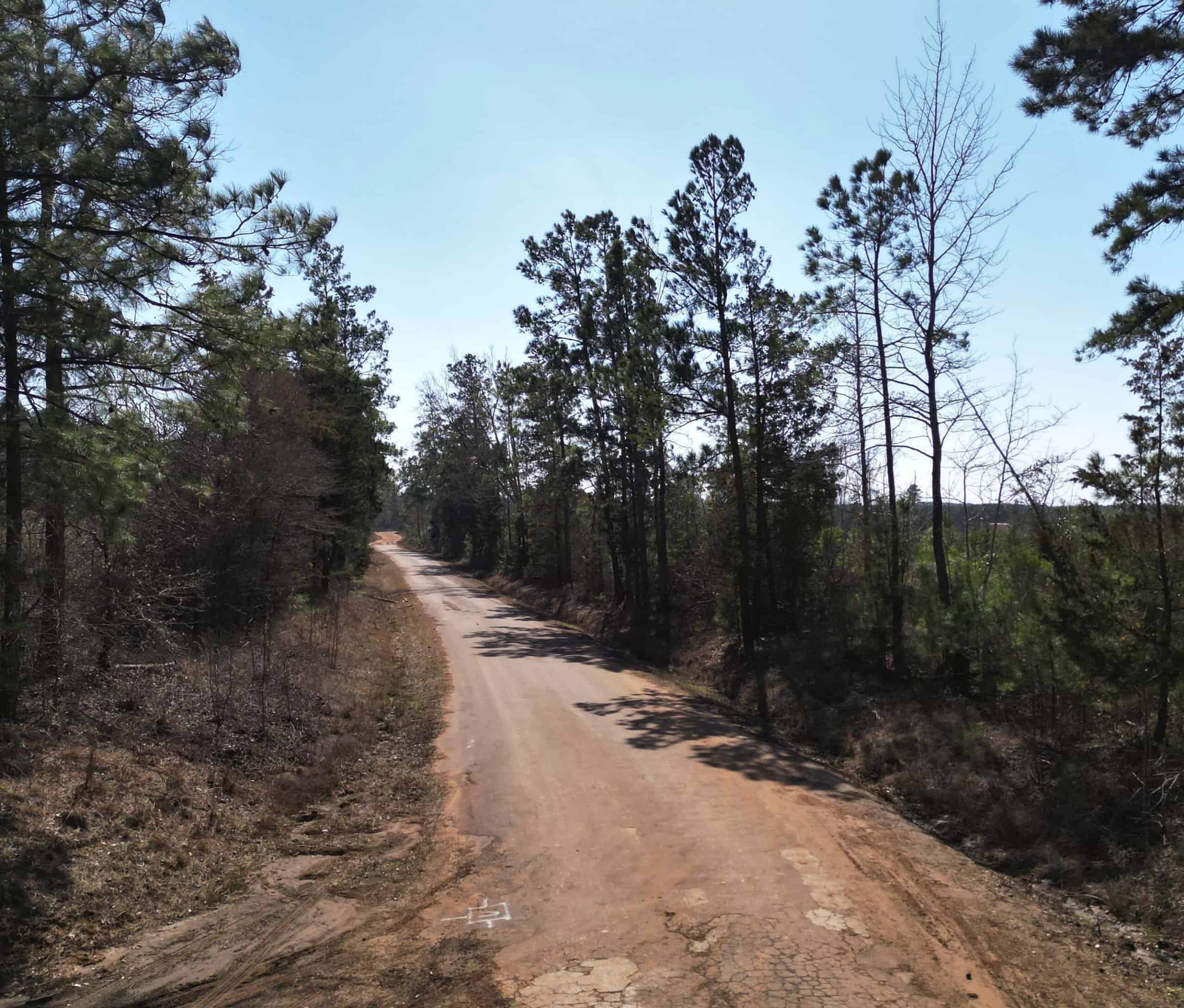 Prime 123-Acre Timber Investment with County Road Frontage