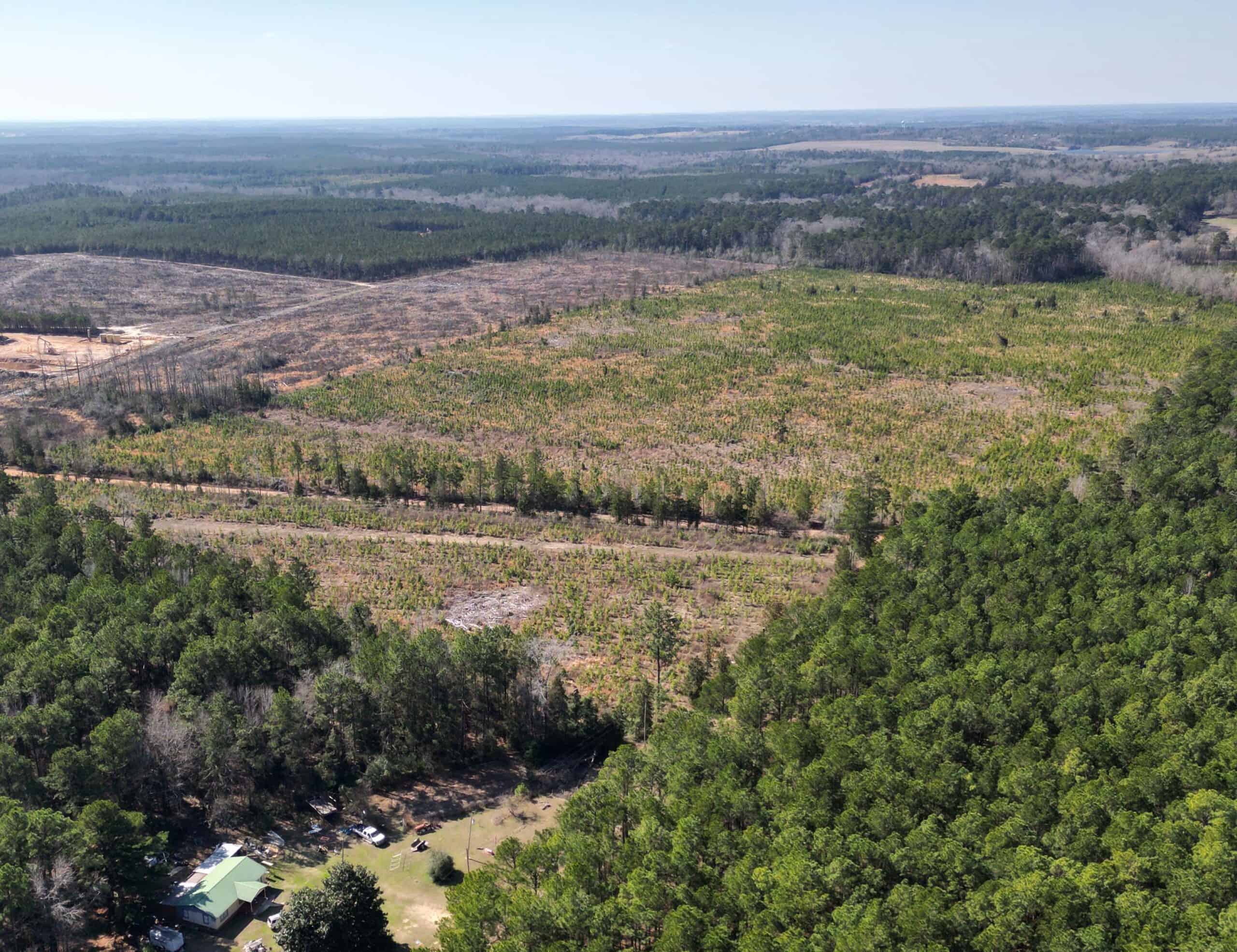 Prime 123-Acre Timber Investment with County Road Frontage