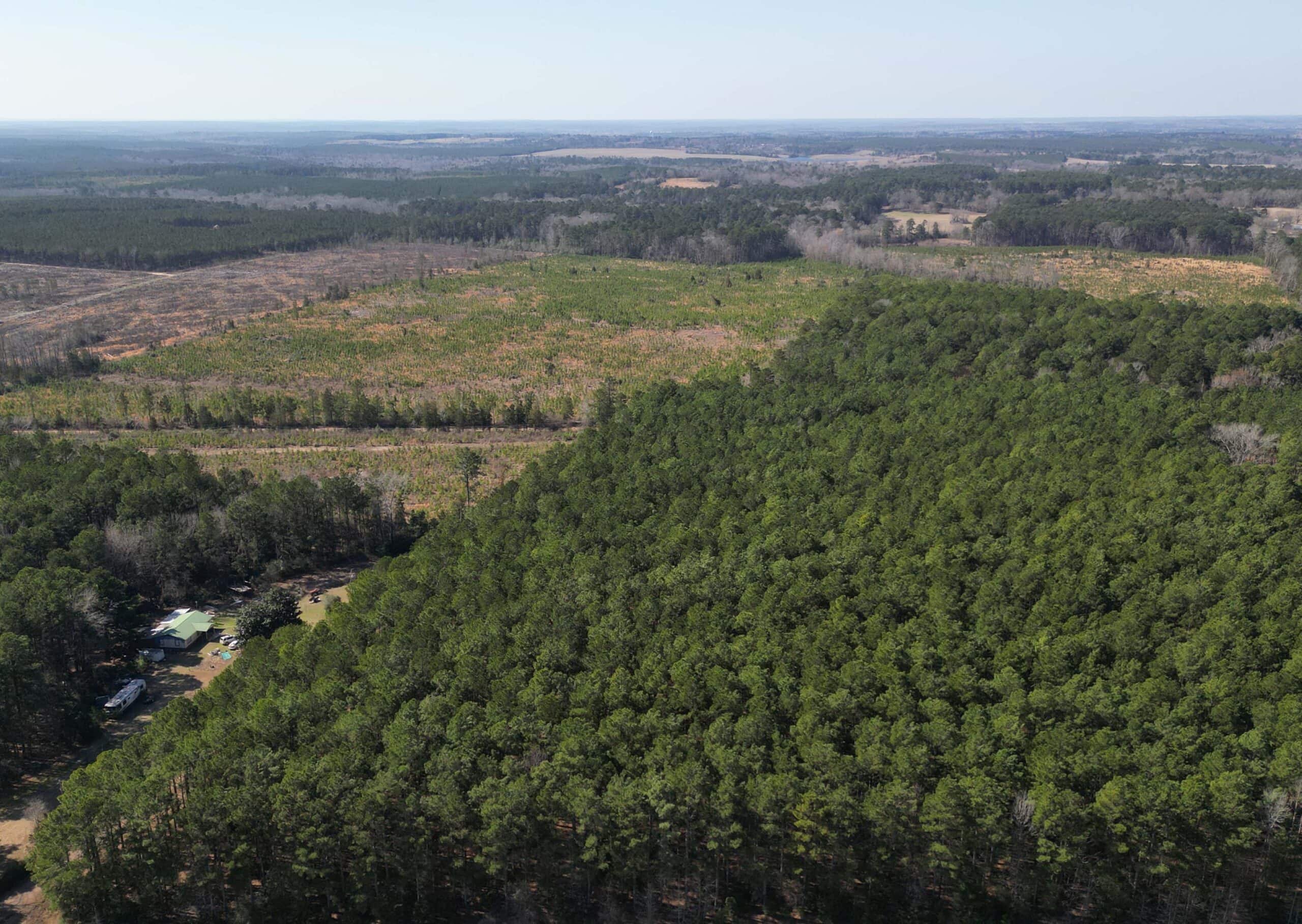 Prime 123-Acre Timber Investment with County Road Frontage