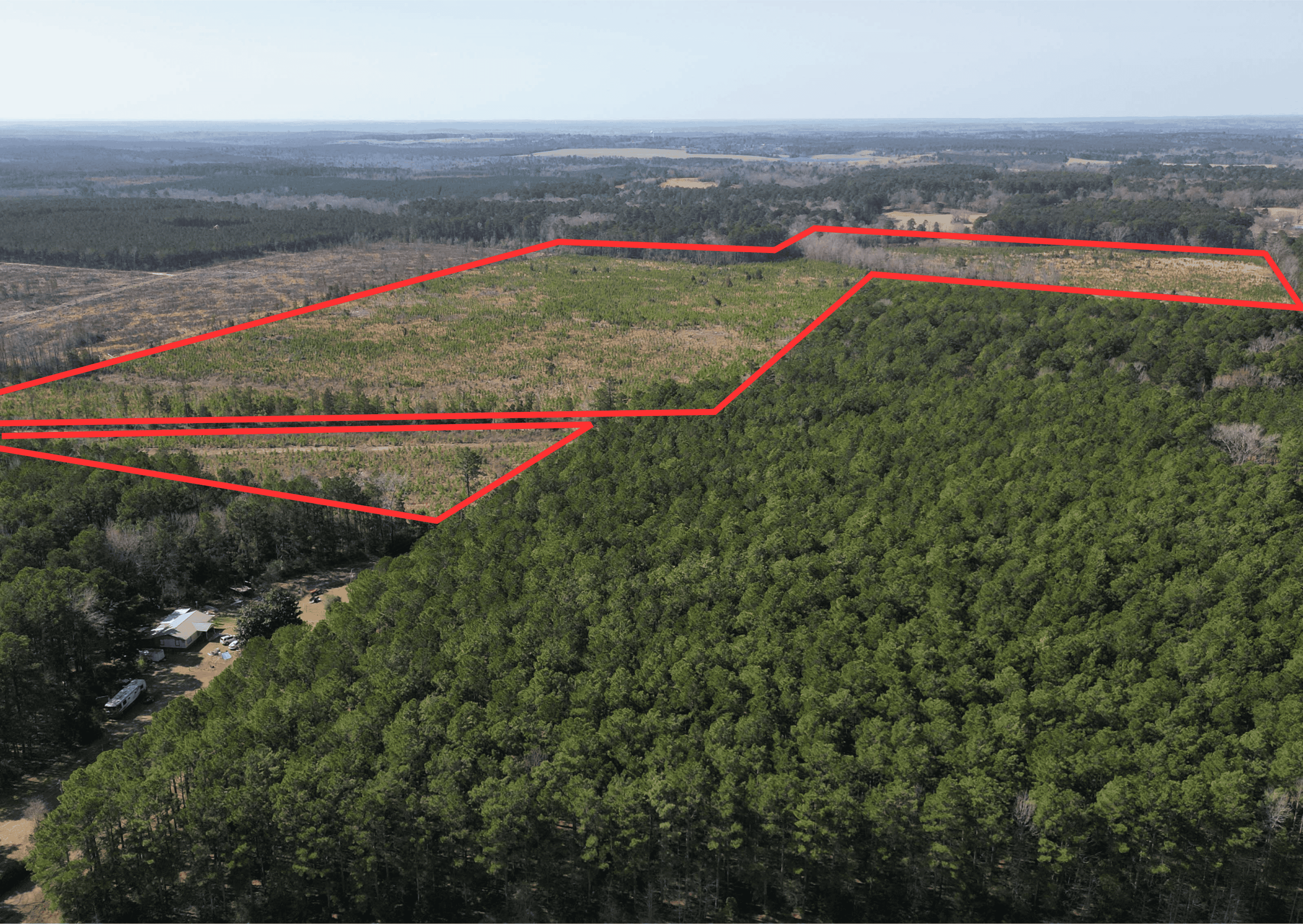 Prime 123-Acre Timber Investment with County Road Frontage