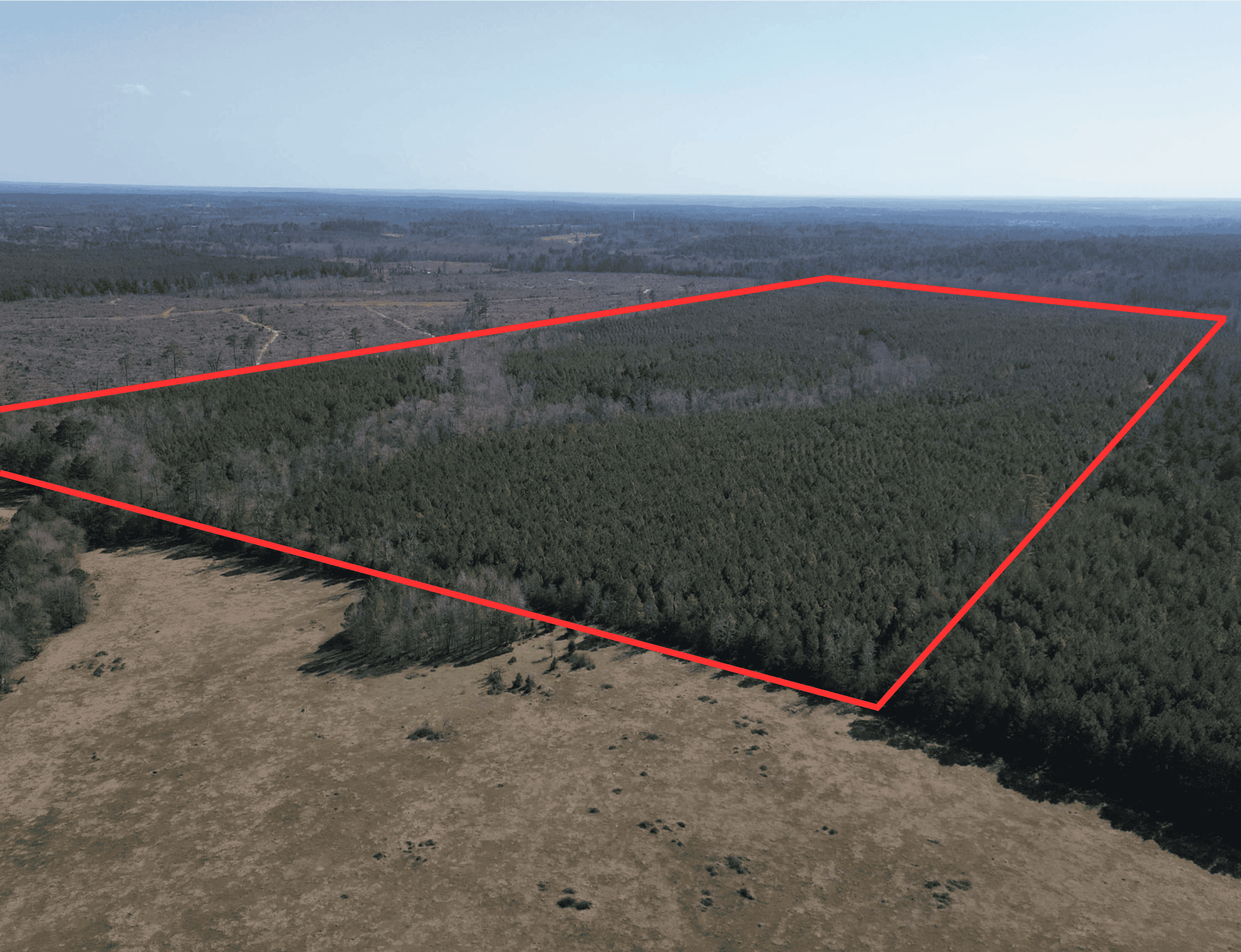 148 ± Acres of Timberland in Linden, TX