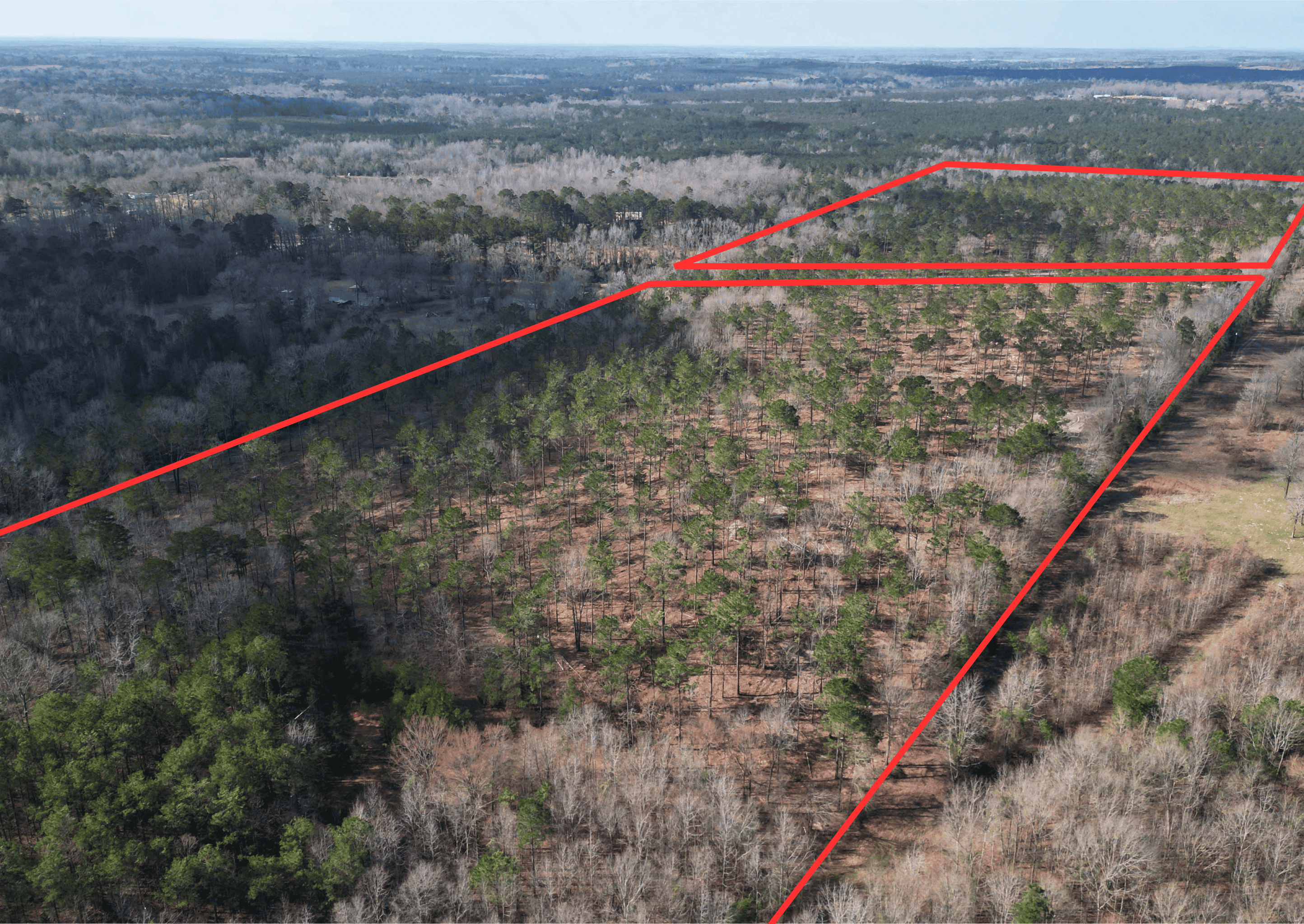 ±51.7 Acres Of East Texas Timberland/Homesite