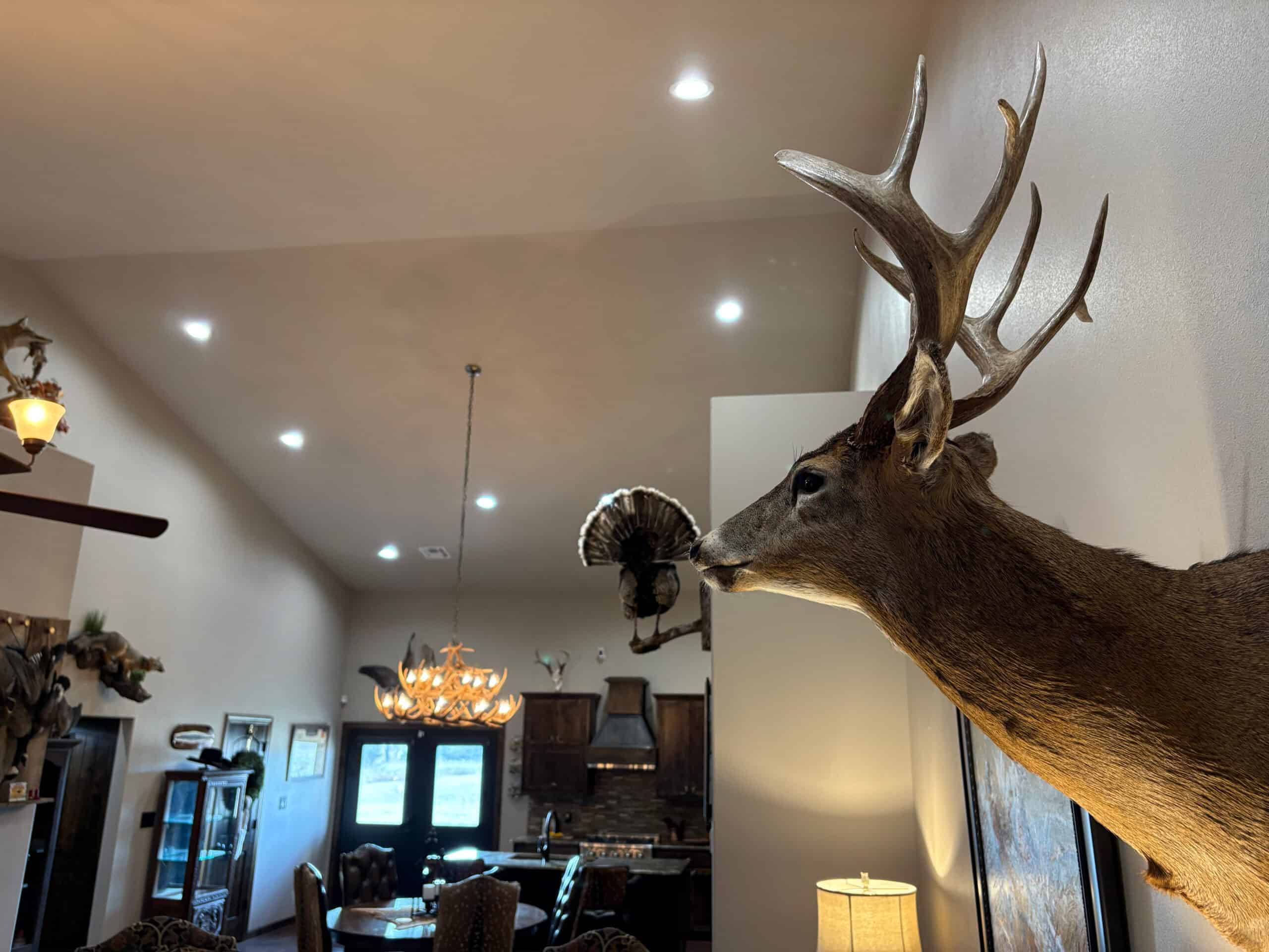 Deer, Turkey, Quail, Dove & Waterfowl