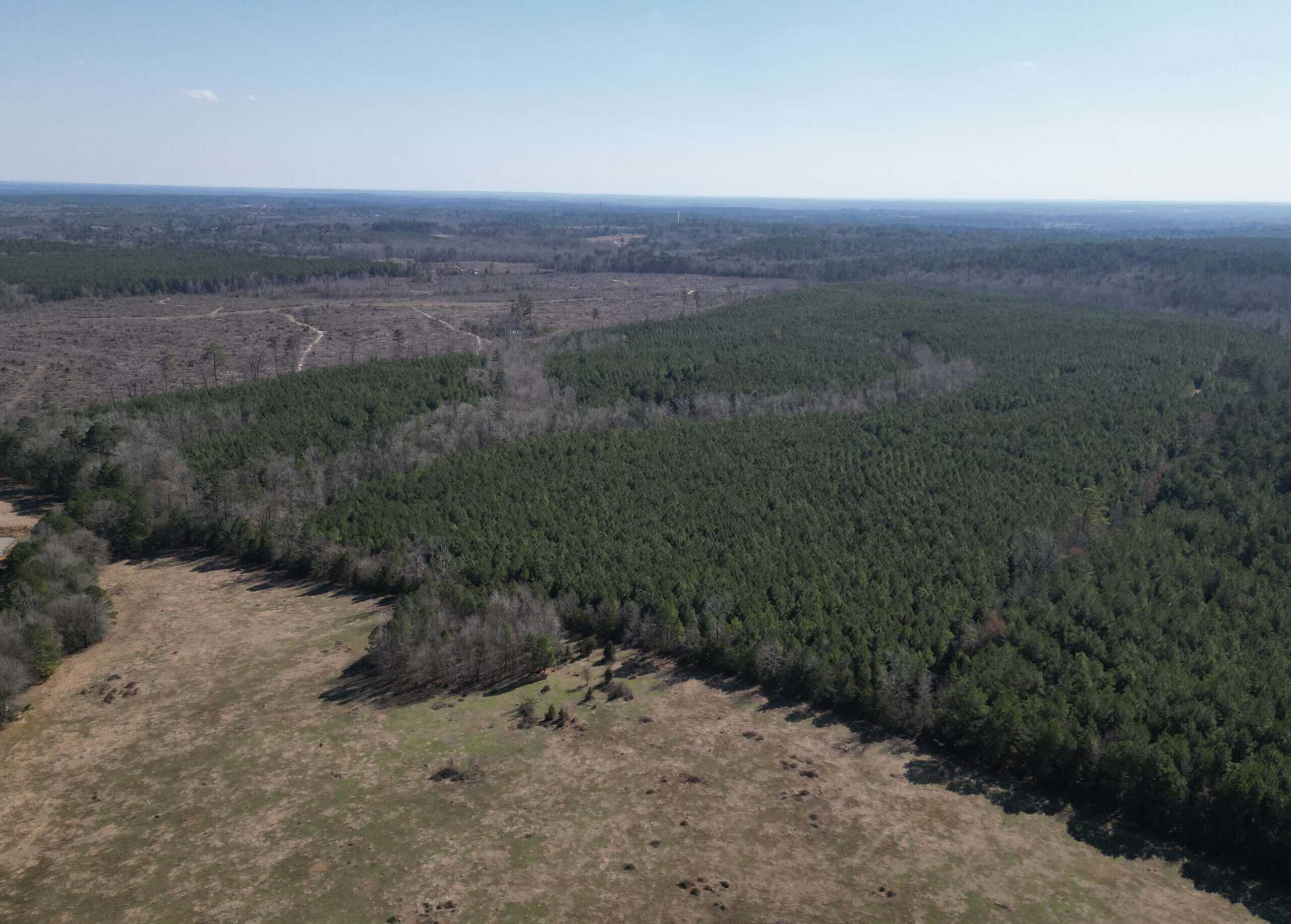 148 ± Acres of Timberland in Linden, TX