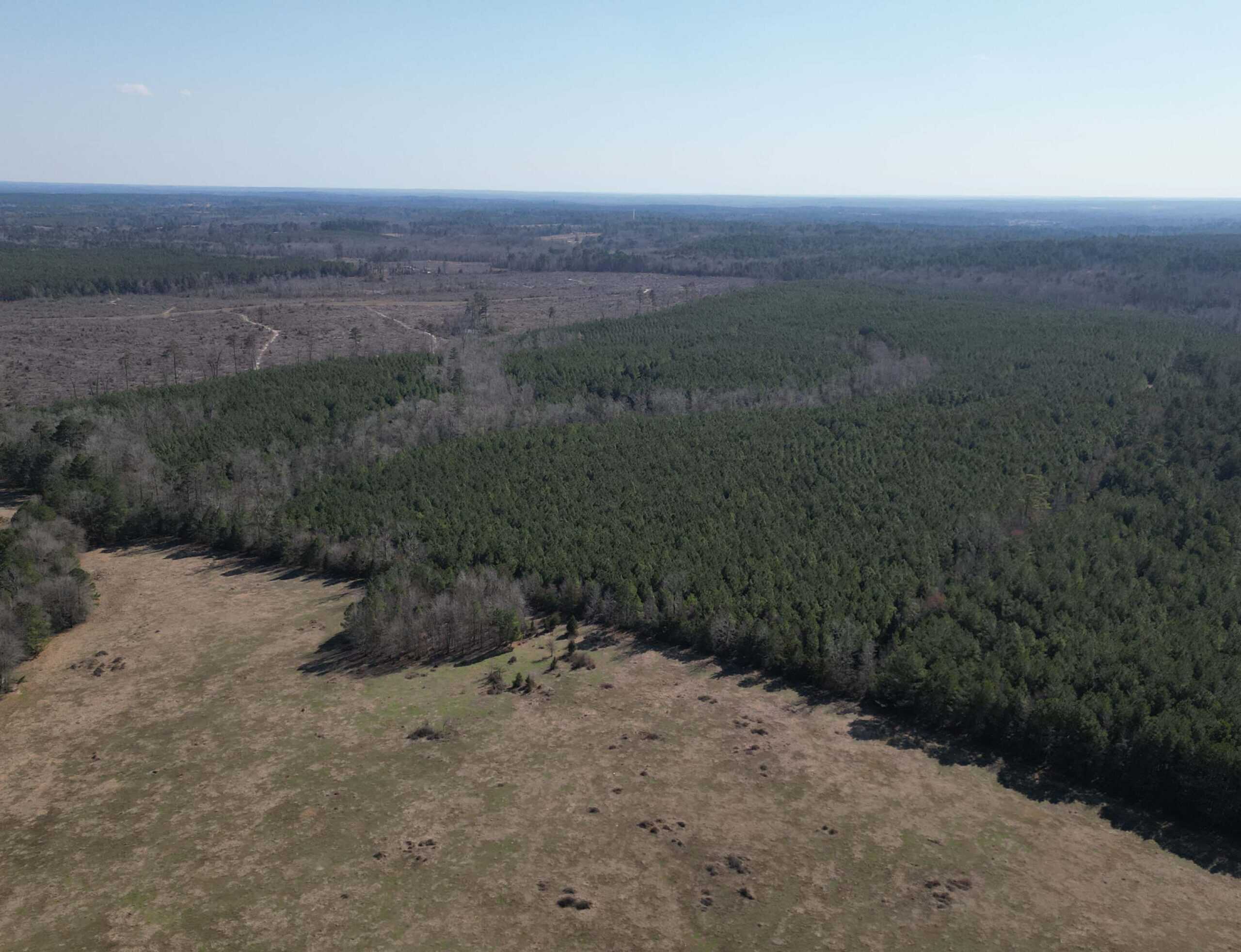 148 ± Acres of Timberland in Linden, TX