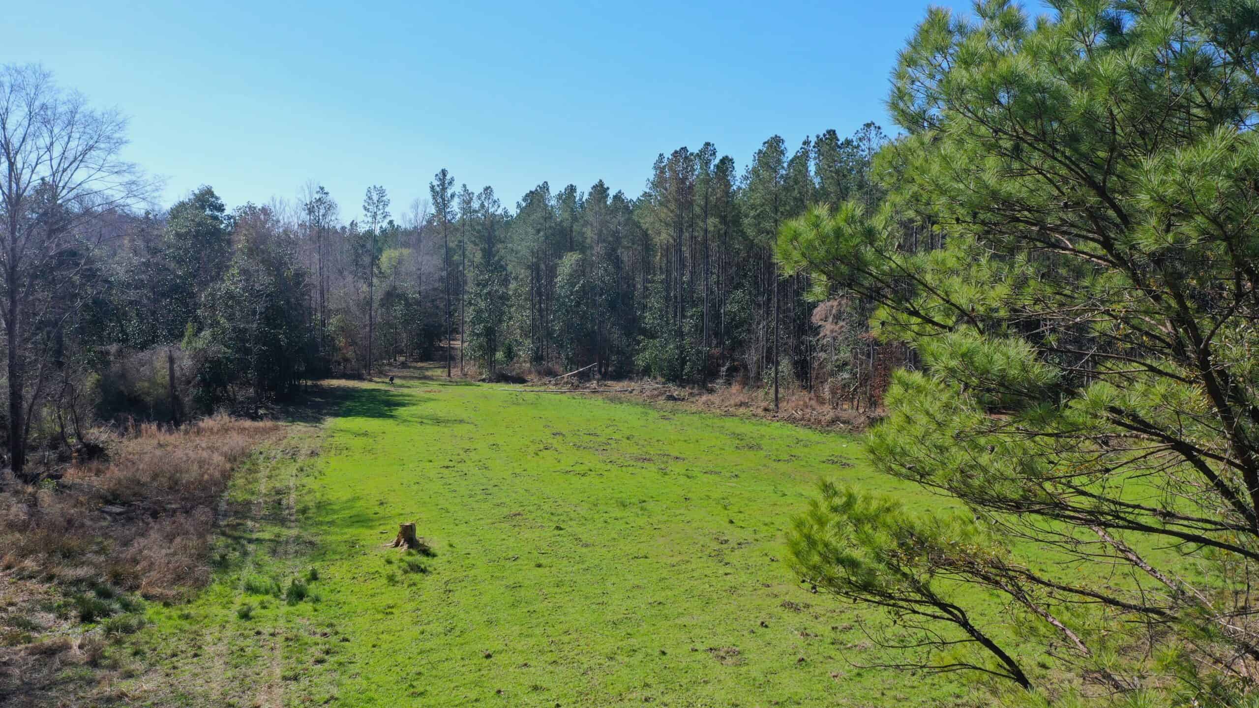445 Acre Hunting & Timber Tract in Butler County, Alabama