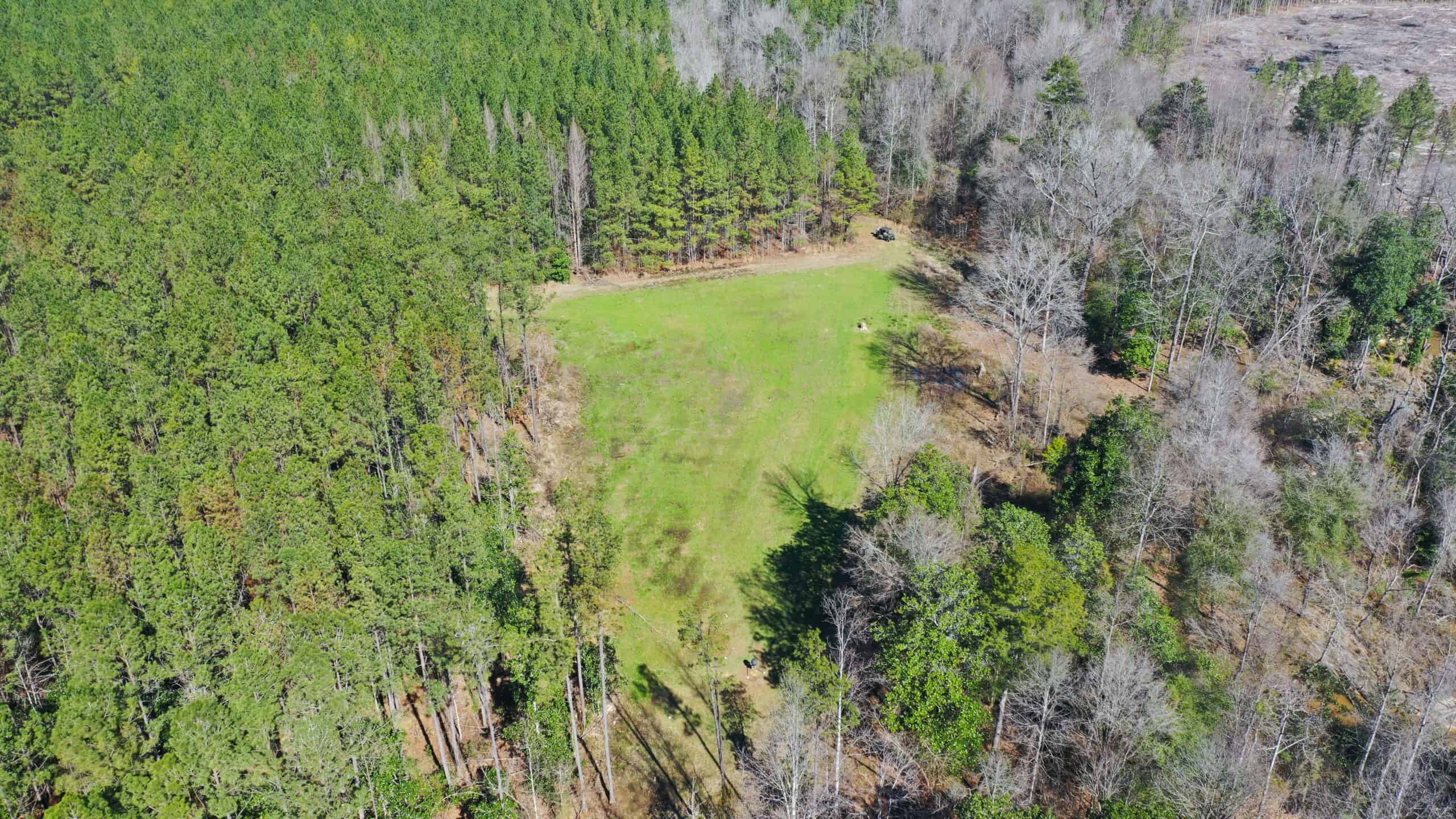 445 Acre Hunting & Timber Tract in Butler County, Alabama