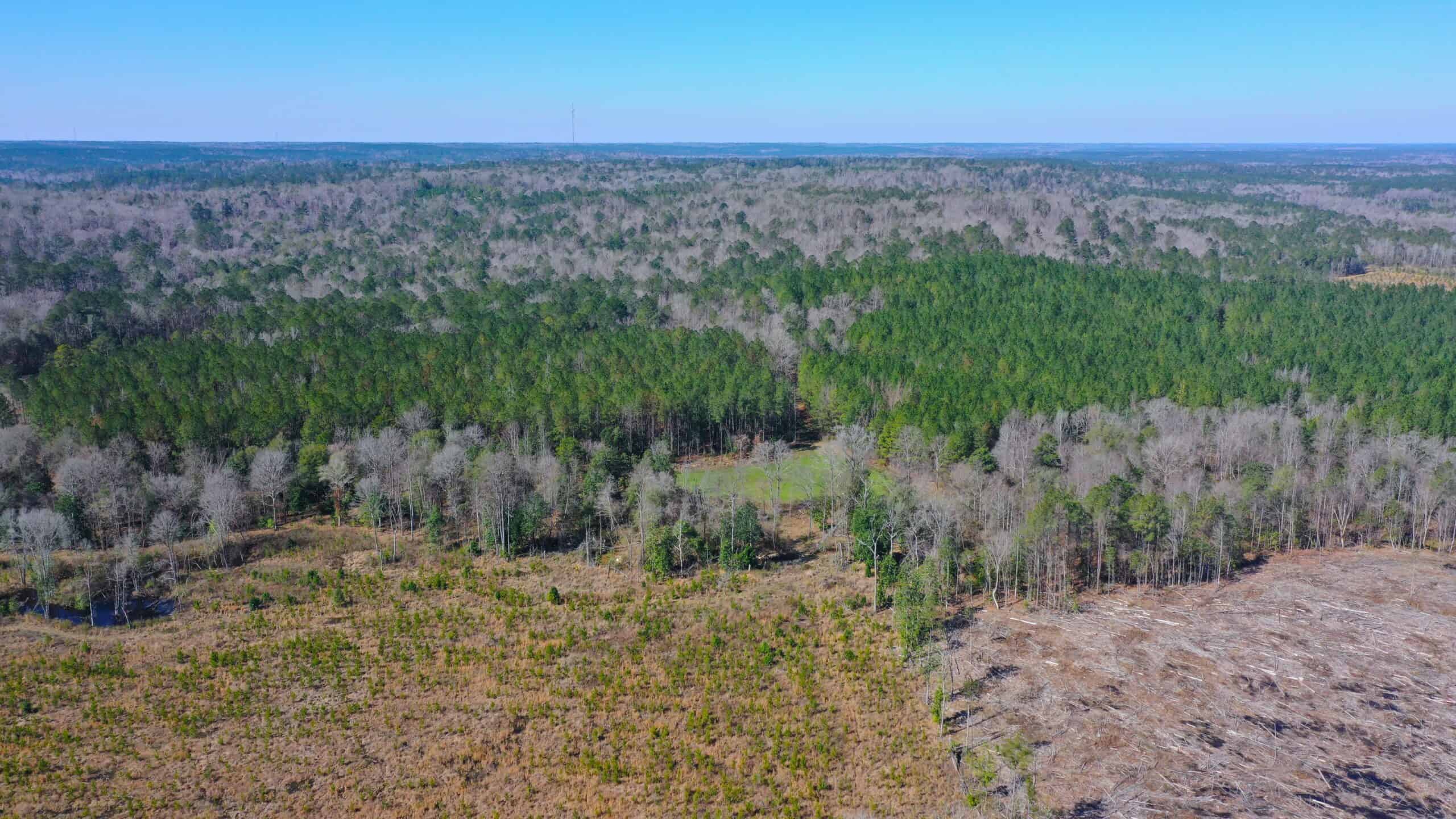 445 Acre Hunting & Timber Tract in Butler County, Alabama