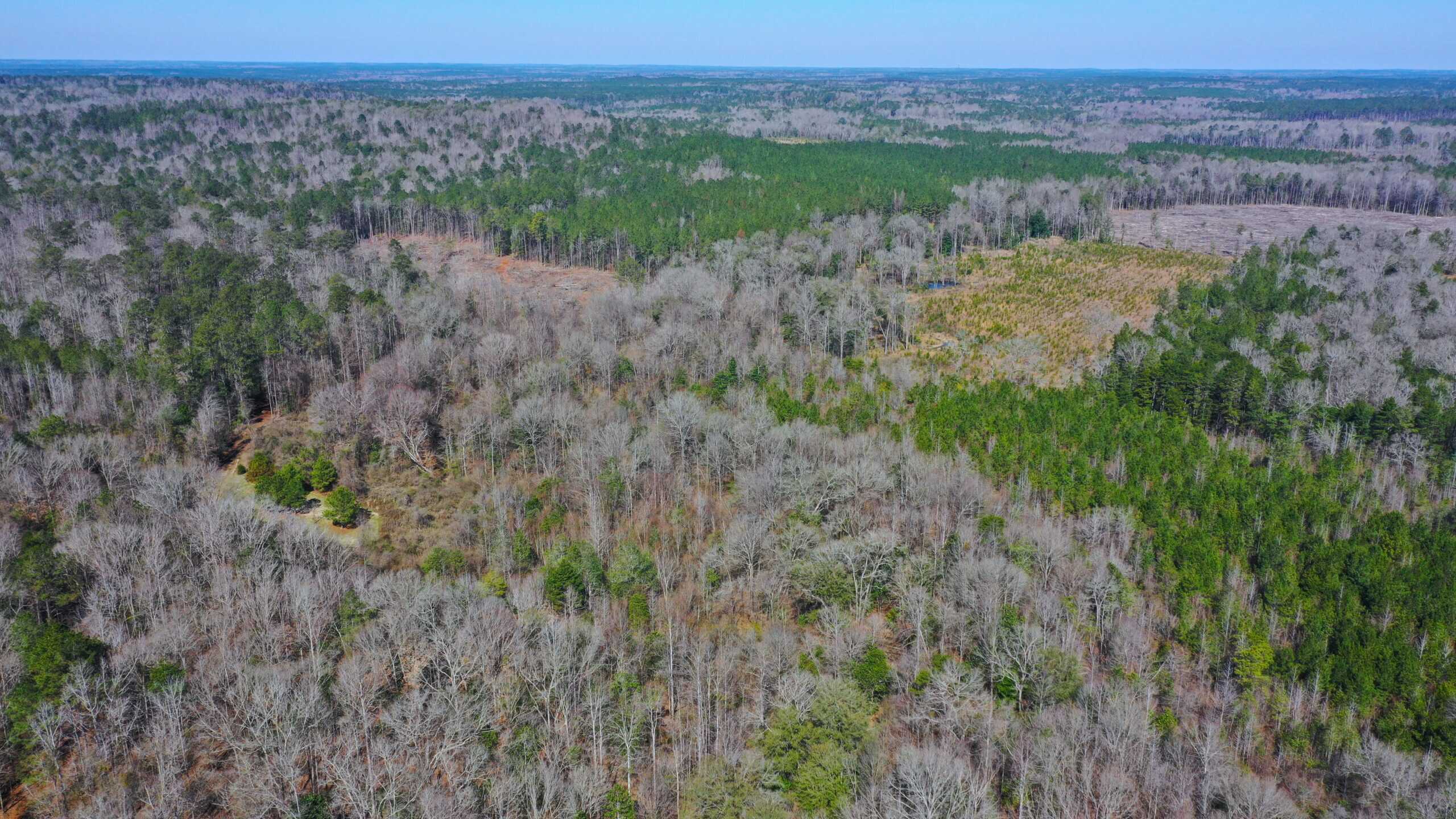 445 Acre Hunting & Timber Tract in Butler County, Alabama