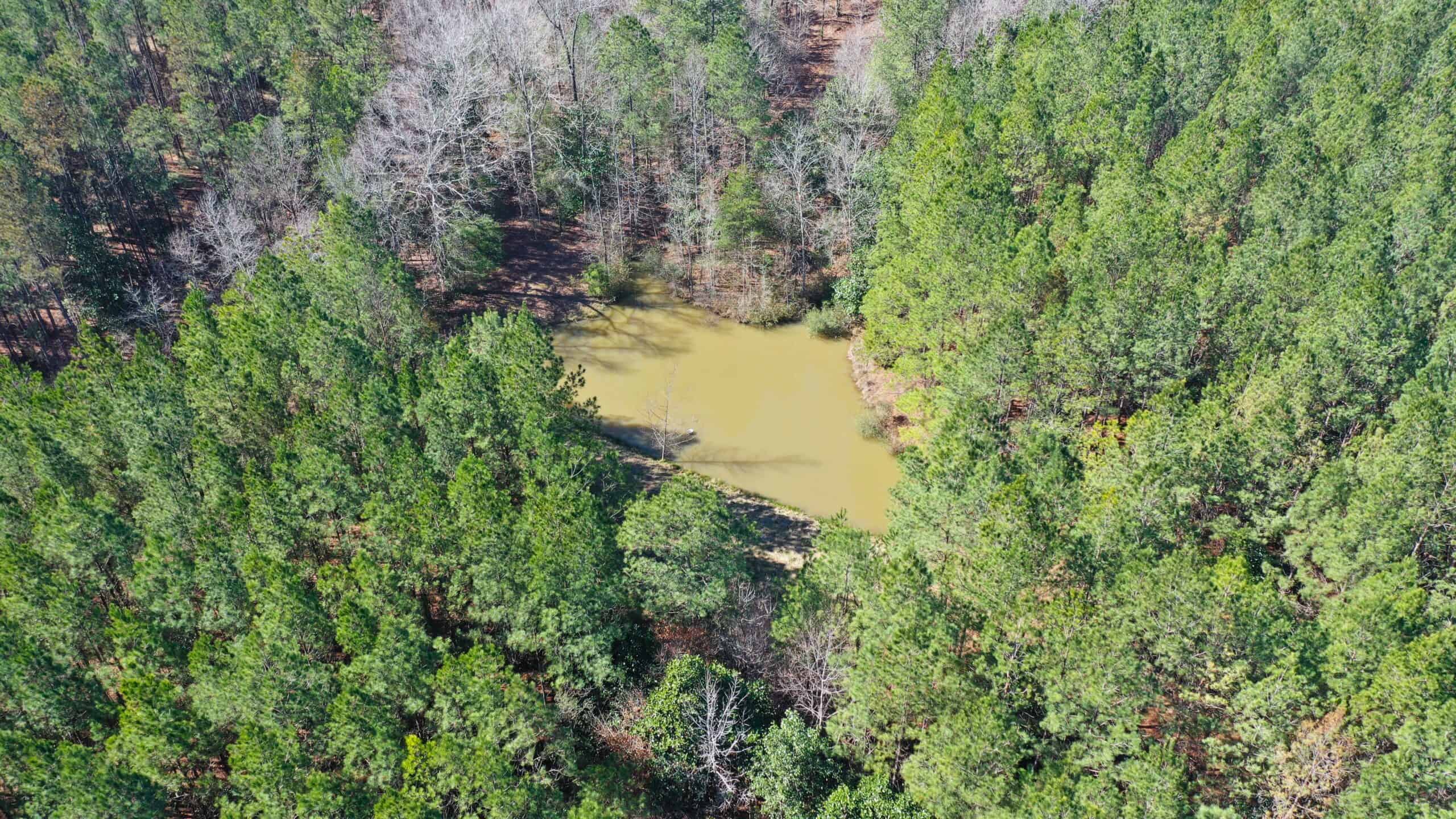 445 Acre Hunting & Timber Tract in Butler County, Alabama
