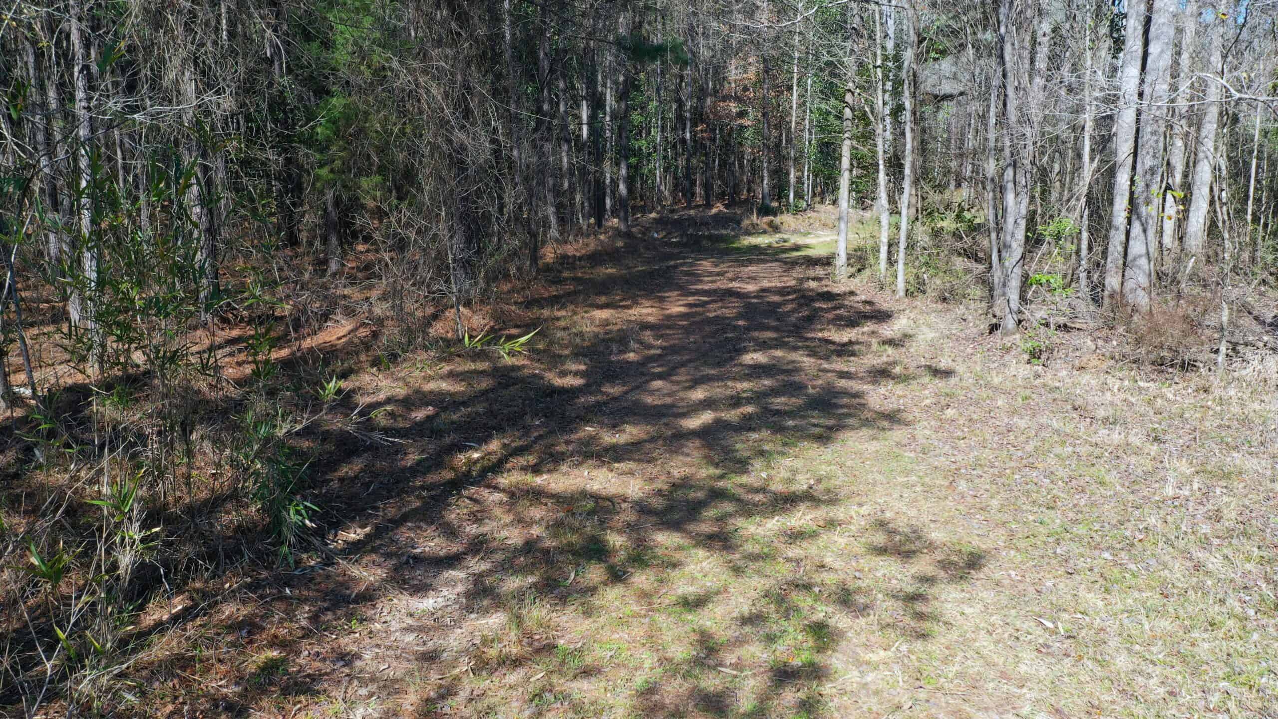 445 Acre Hunting & Timber Tract in Butler County, Alabama
