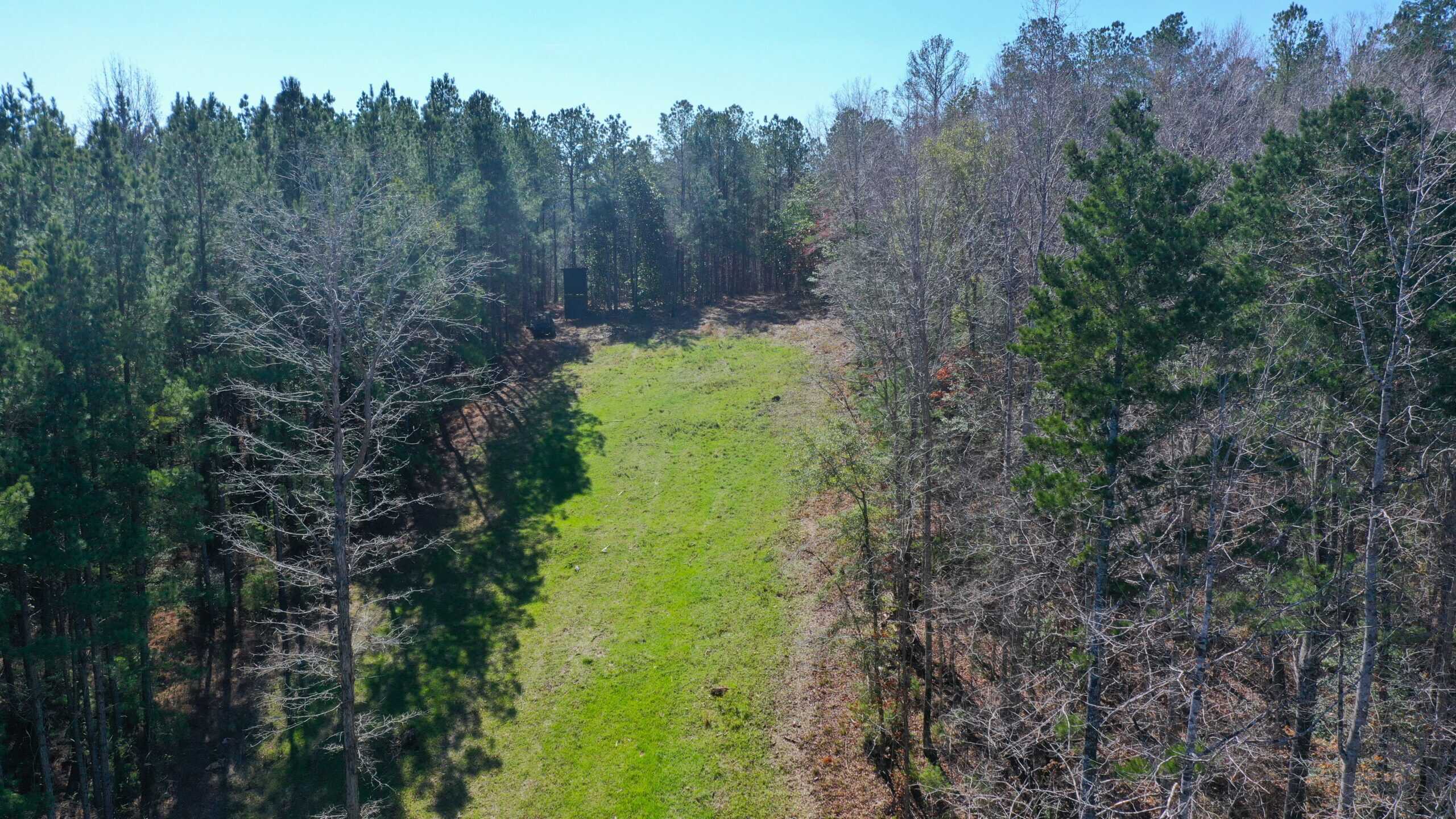 445 Acre Hunting & Timber Tract in Butler County, Alabama