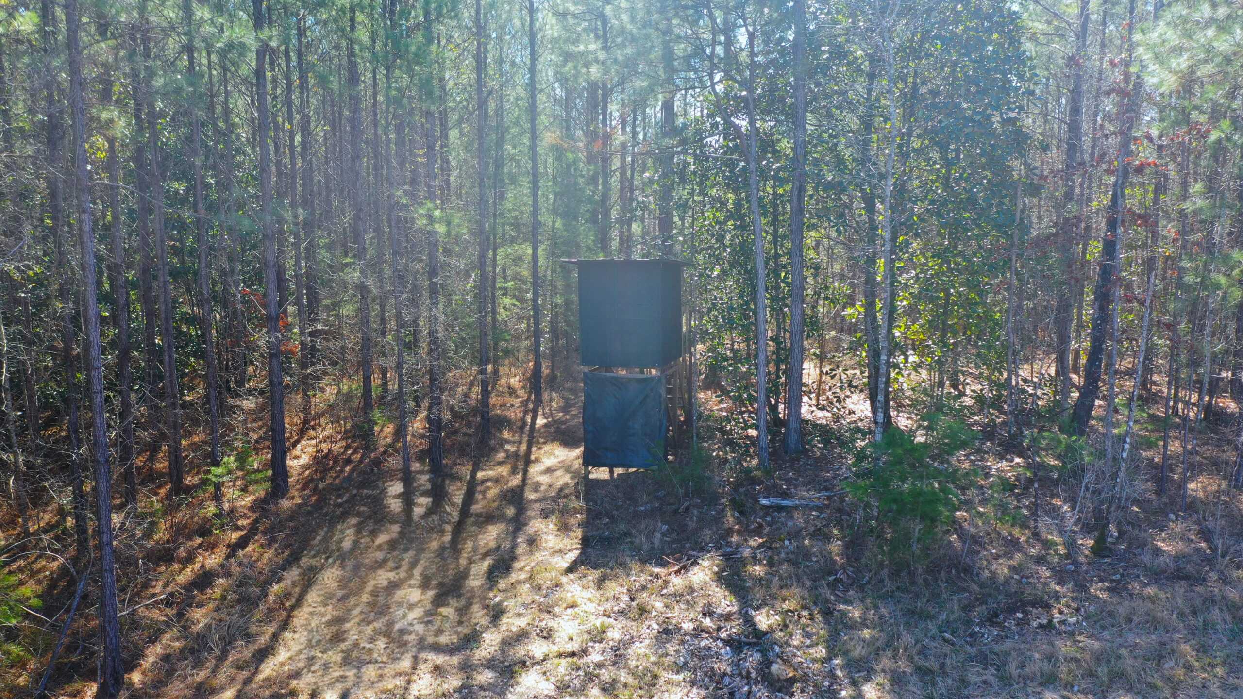 445 Acre Hunting & Timber Tract in Butler County, Alabama