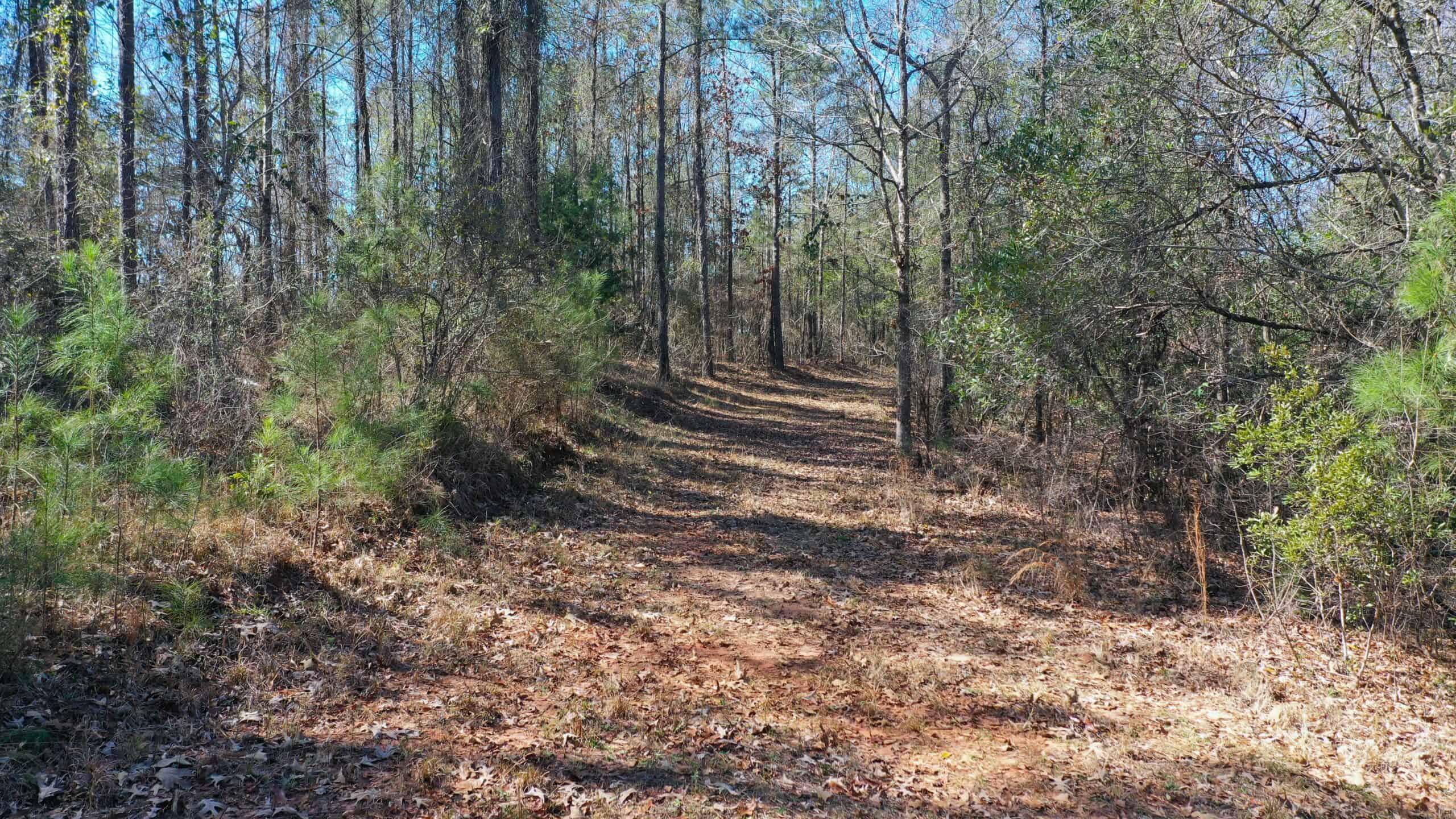 445 Acre Hunting & Timber Tract in Butler County, Alabama