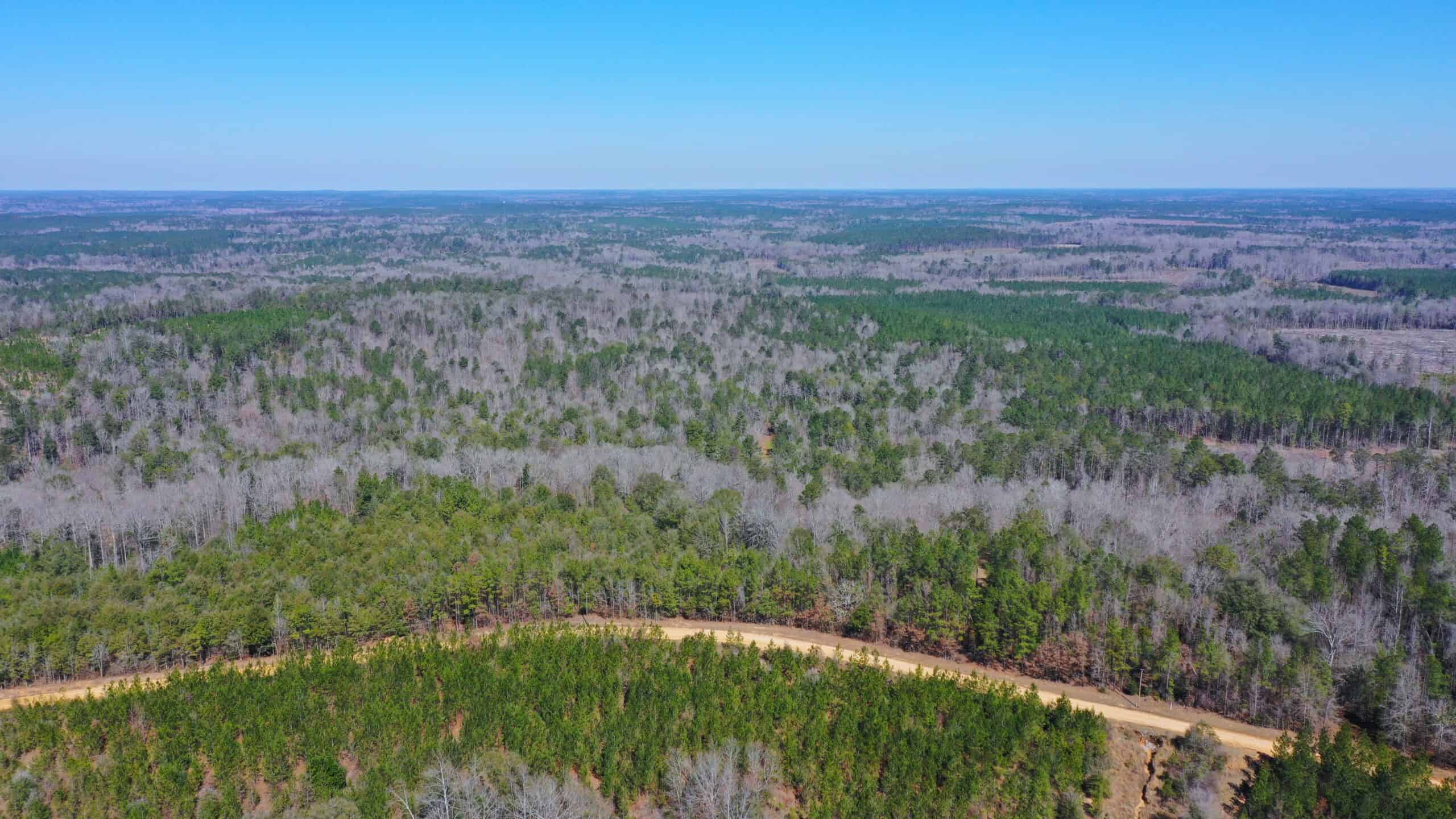 445 Acre Hunting & Timber Tract in Butler County, Alabama