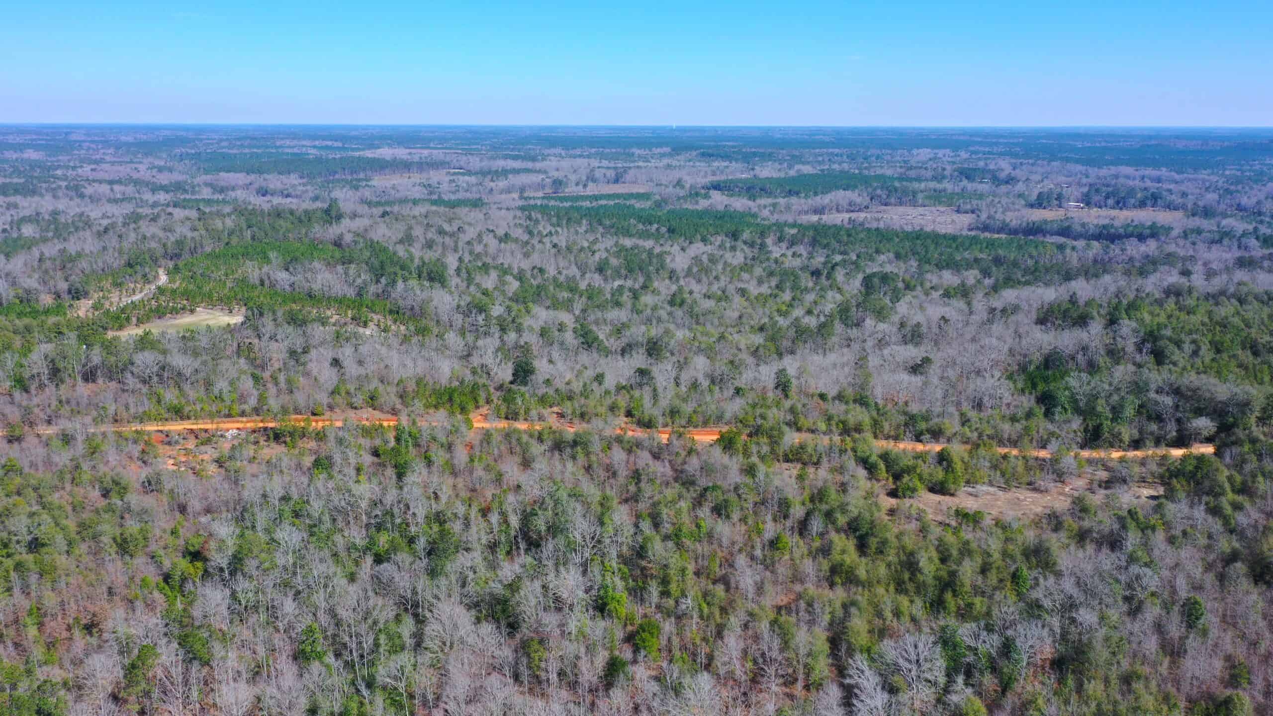 445 Acre Hunting & Timber Tract in Butler County, Alabama