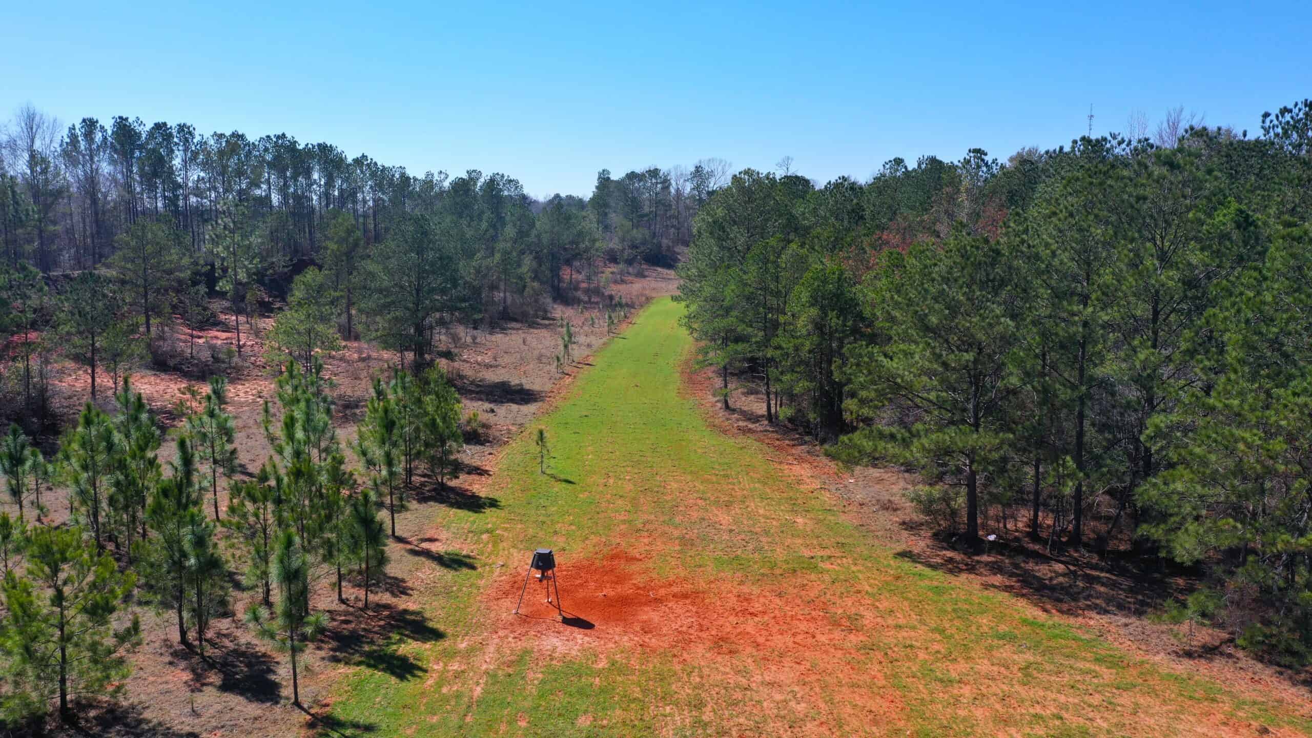 445 Acre Hunting & Timber Tract in Butler County, Alabama