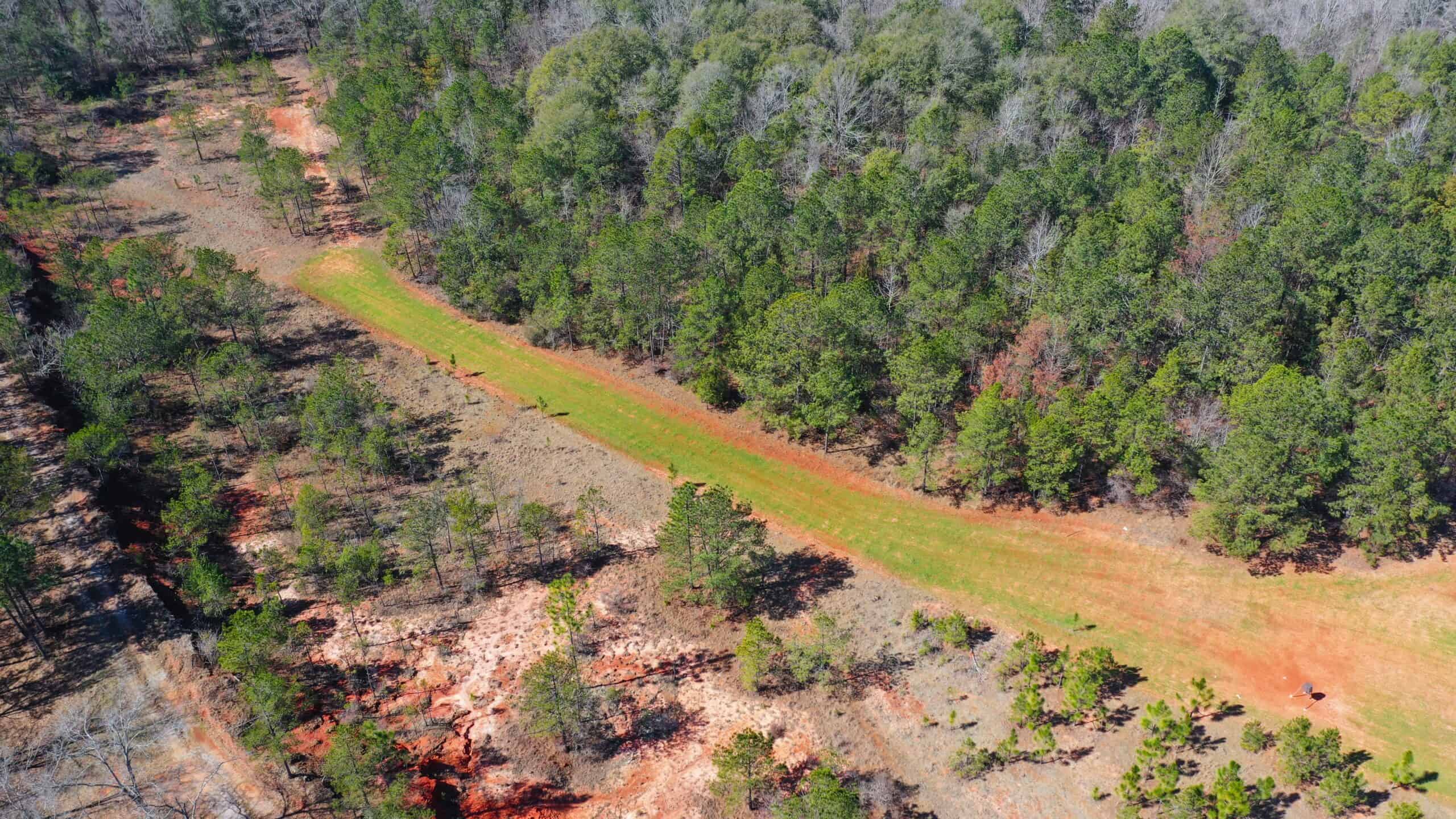 445 Acre Hunting & Timber Tract in Butler County, Alabama