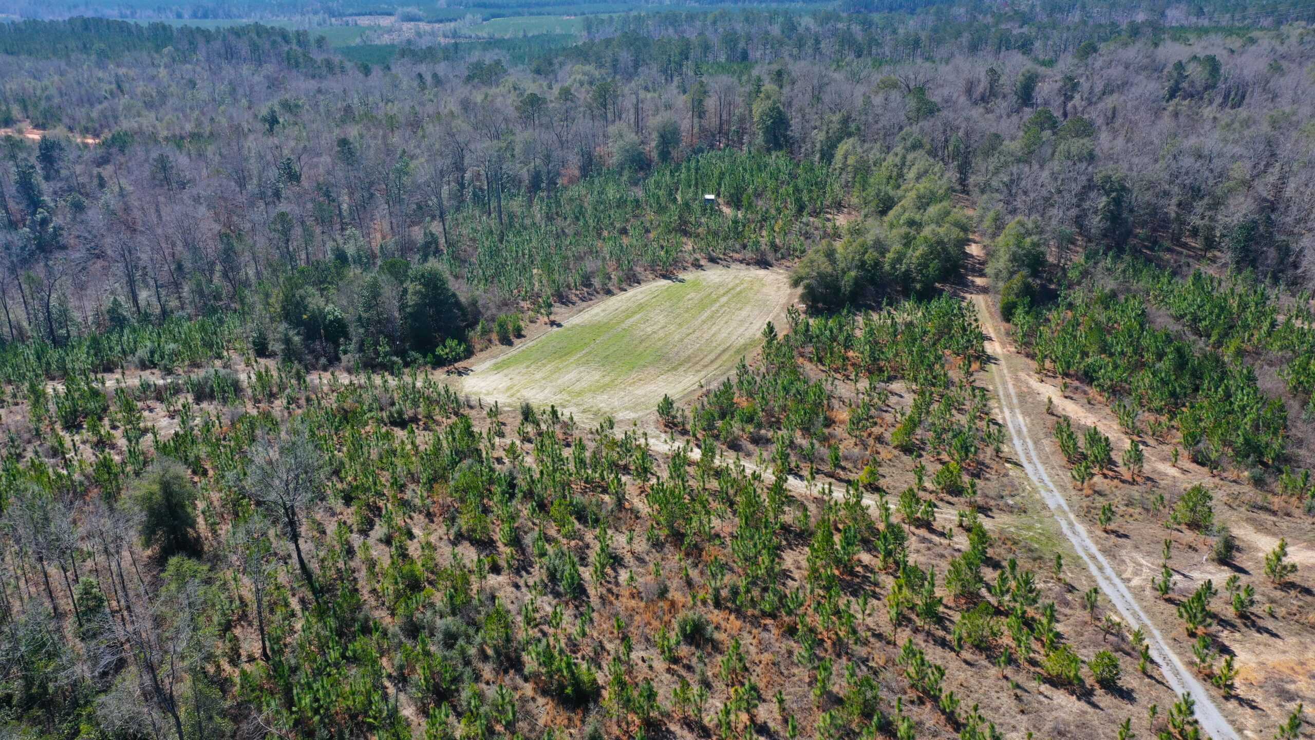 445 Acre Hunting & Timber Tract in Butler County, Alabama