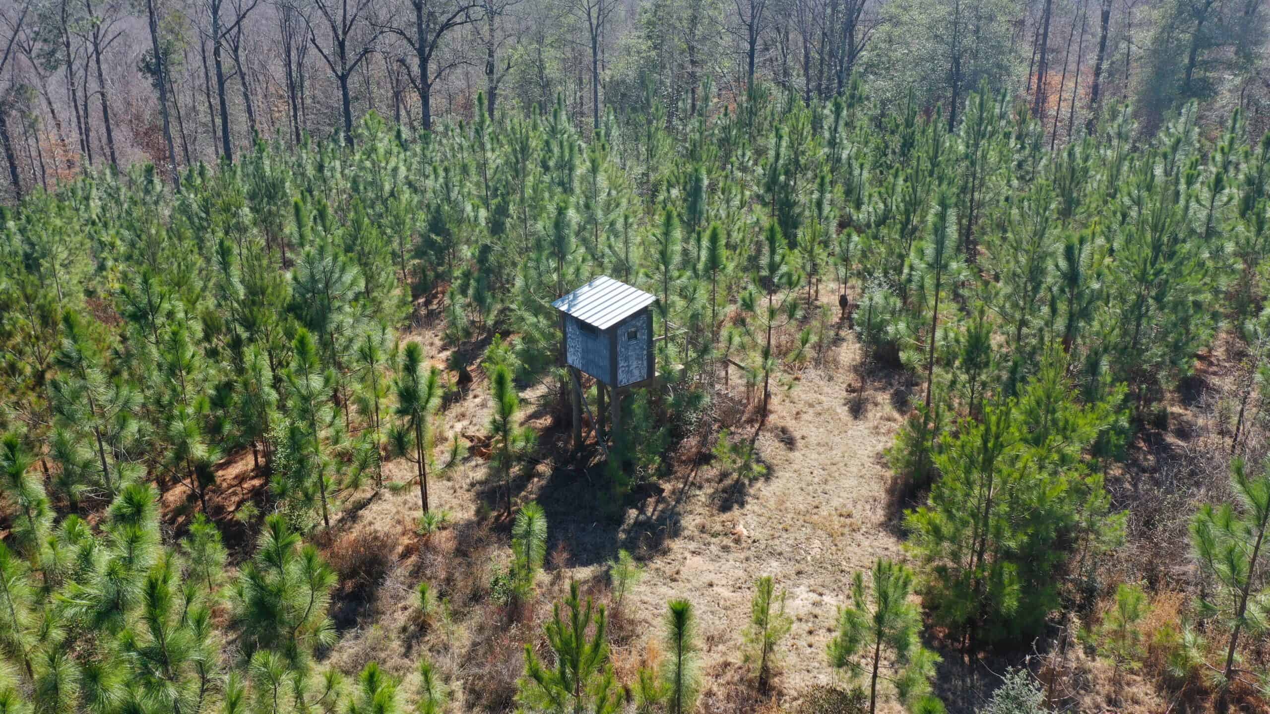 445 Acre Hunting & Timber Tract in Butler County, Alabama