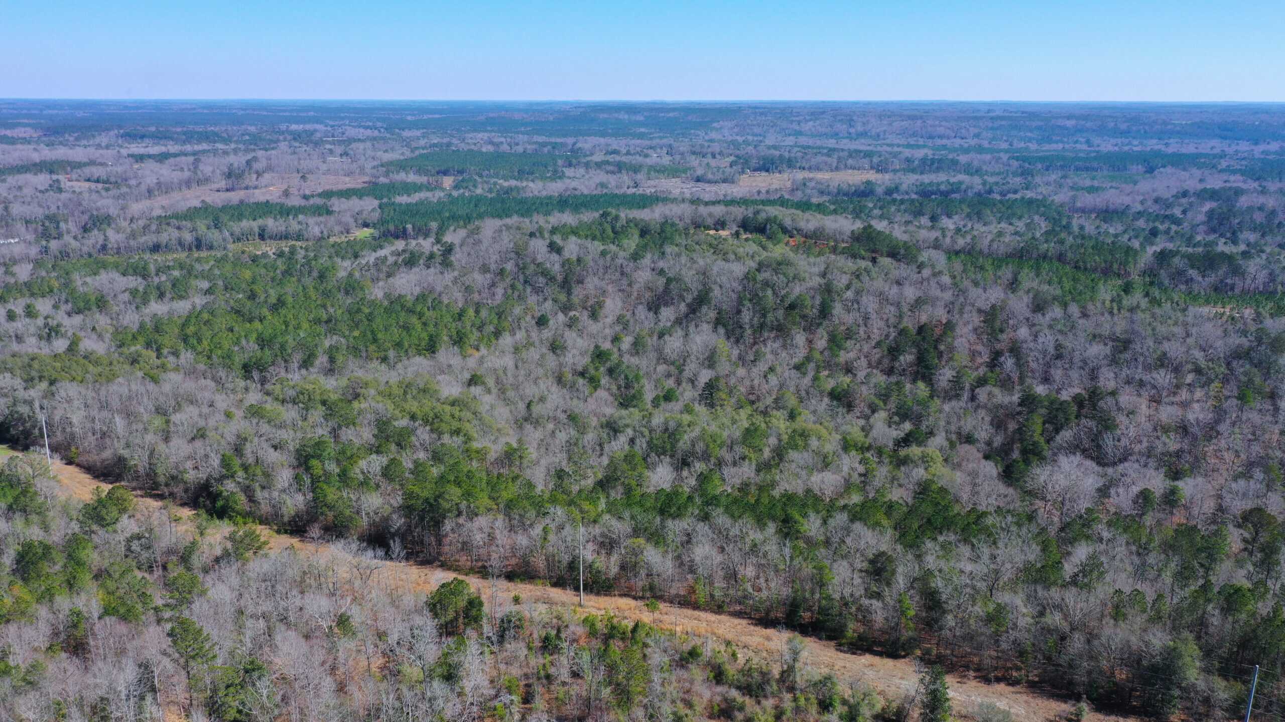445 Acre Hunting & Timber Tract in Butler County, Alabama