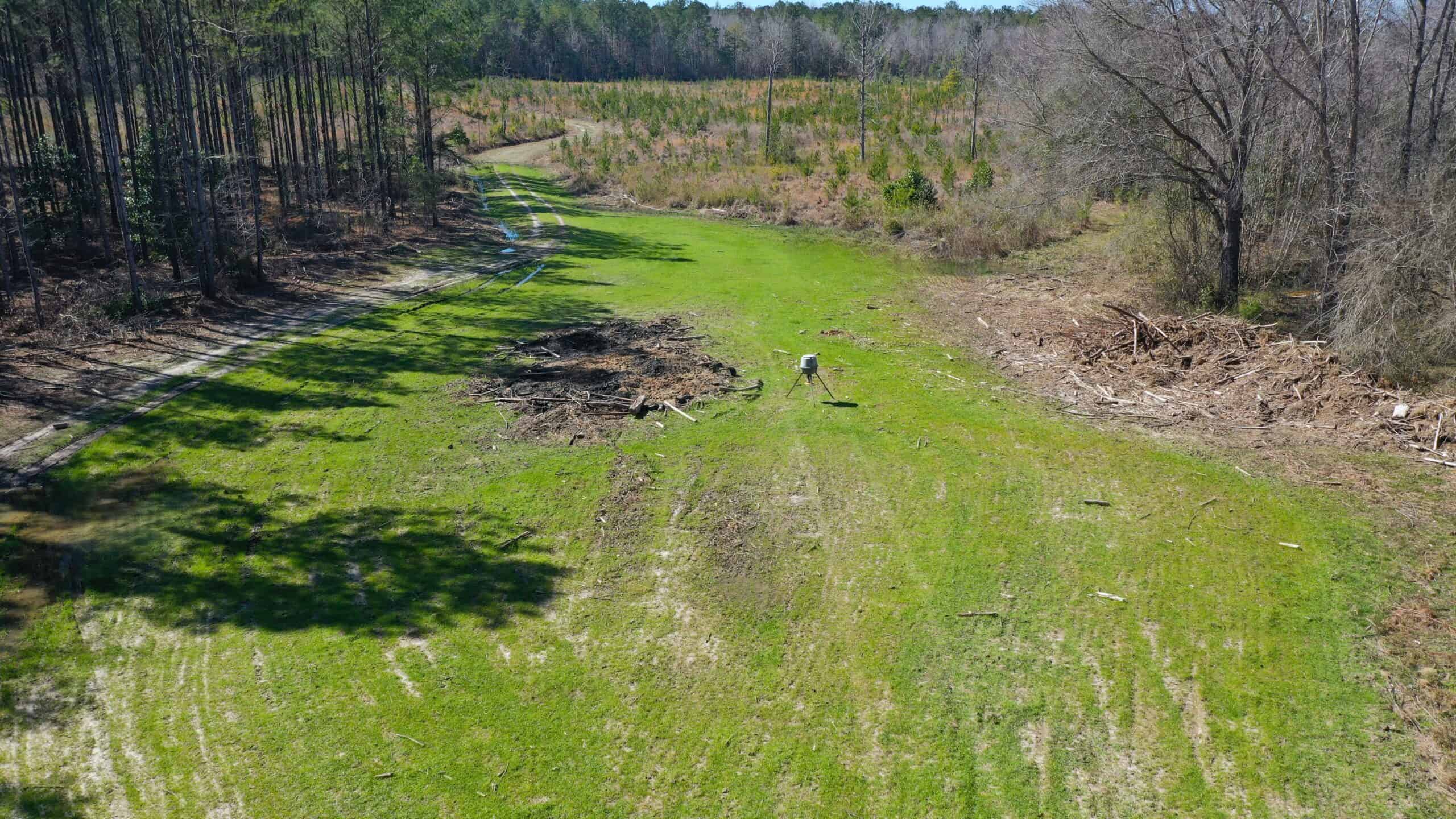 445 Acre Hunting & Timber Tract in Butler County, Alabama