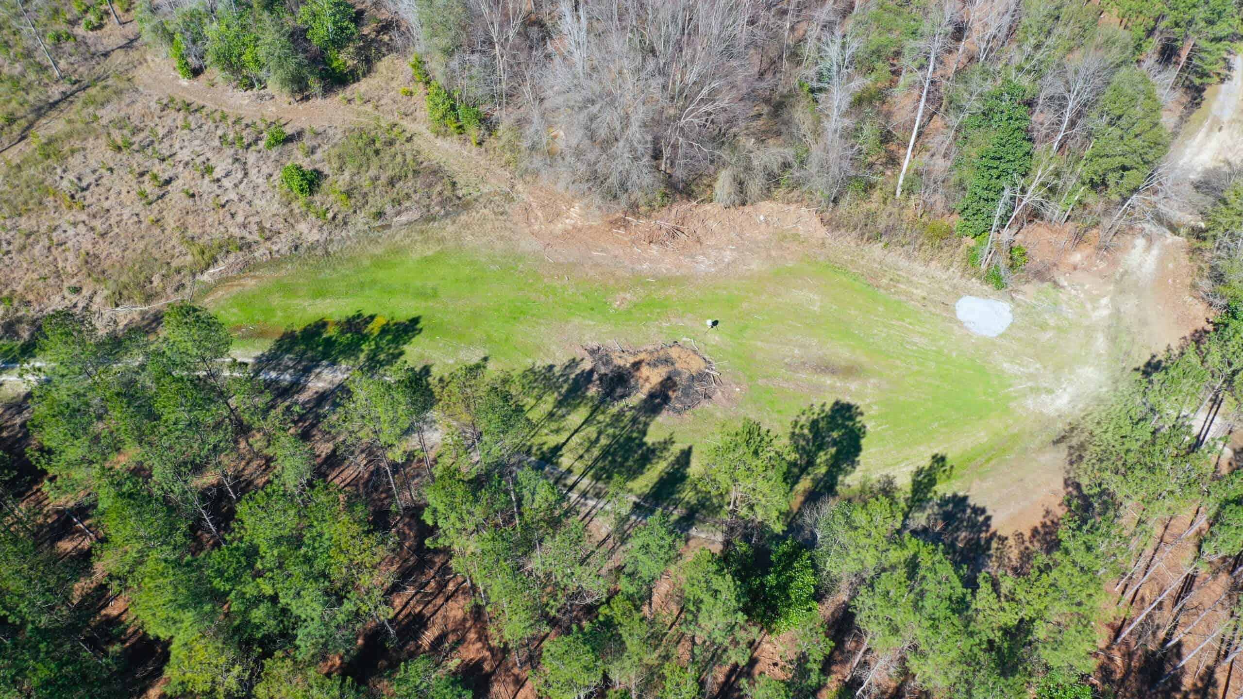 445 Acre Hunting & Timber Tract in Butler County, Alabama