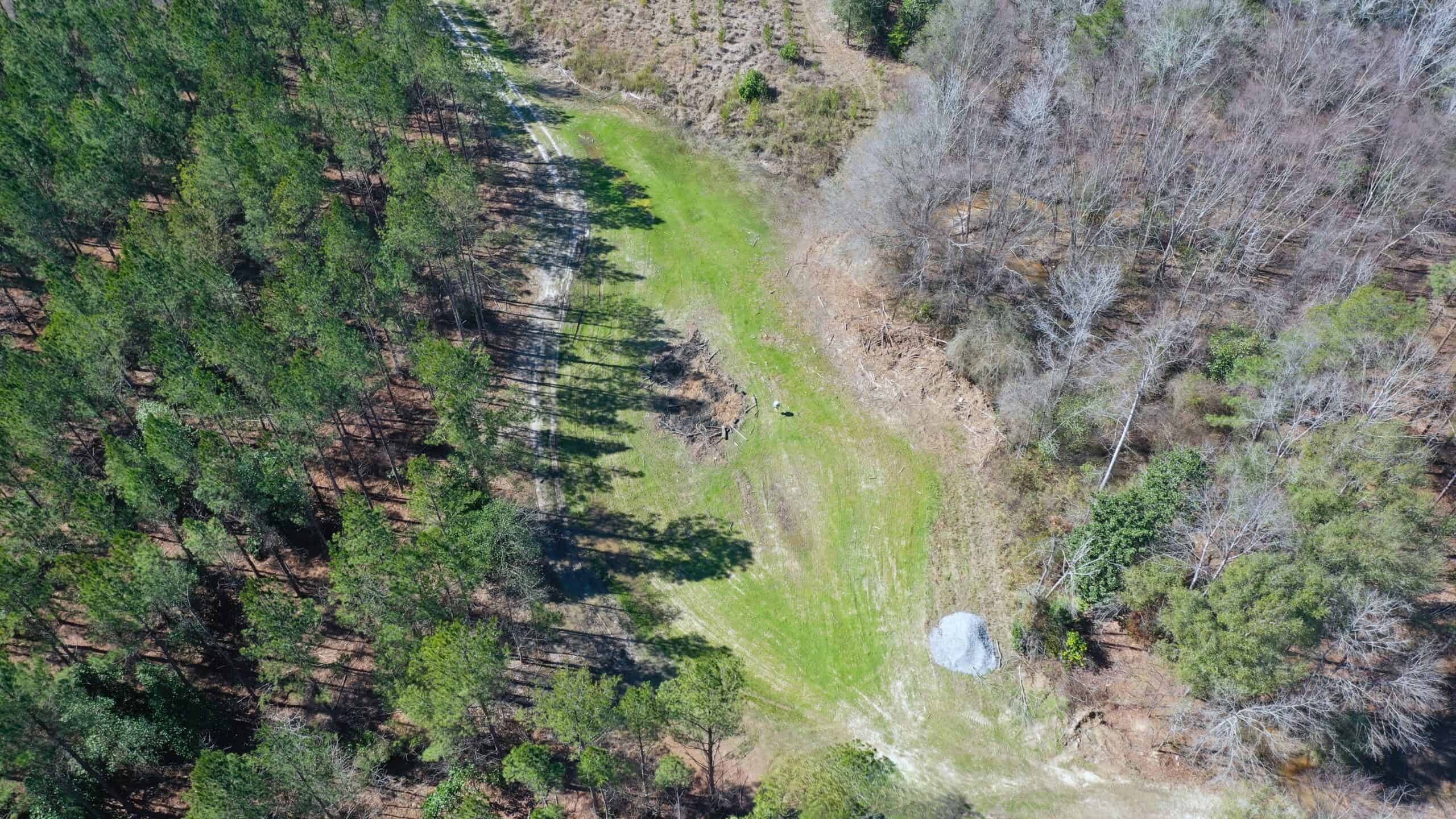 445 Acre Hunting & Timber Tract in Butler County, Alabama