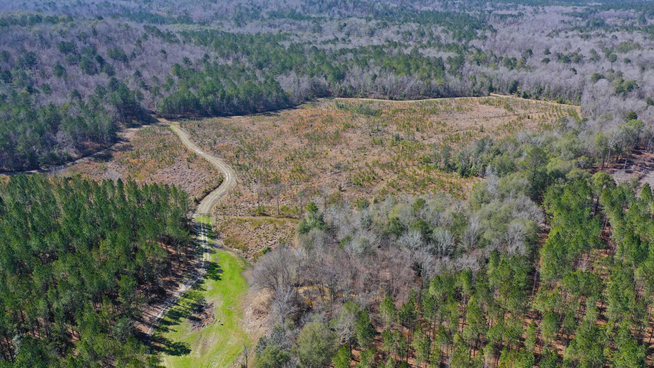 445 Acre Hunting & Timber Tract in Butler County, Alabama