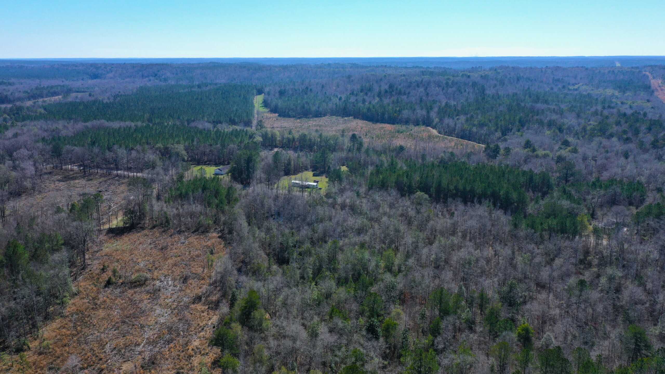 445 Acre Hunting & Timber Tract in Butler County, Alabama