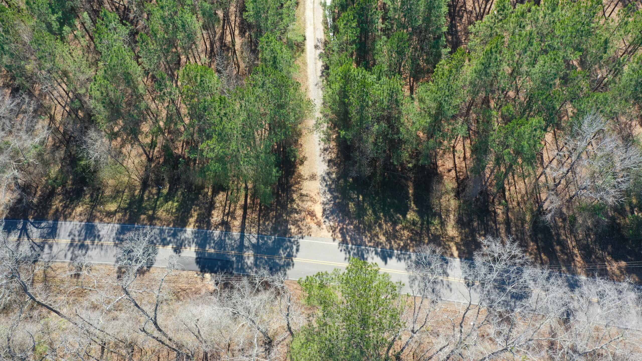 445 Acre Hunting & Timber Tract in Butler County, Alabama