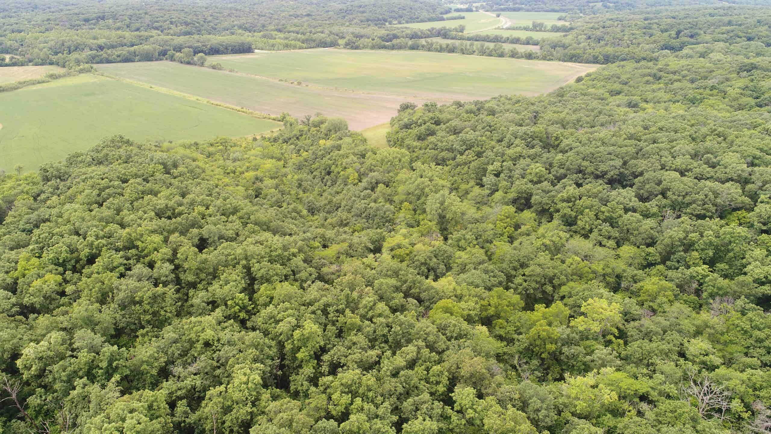 Adair County, MO Acreage FOR SALE!