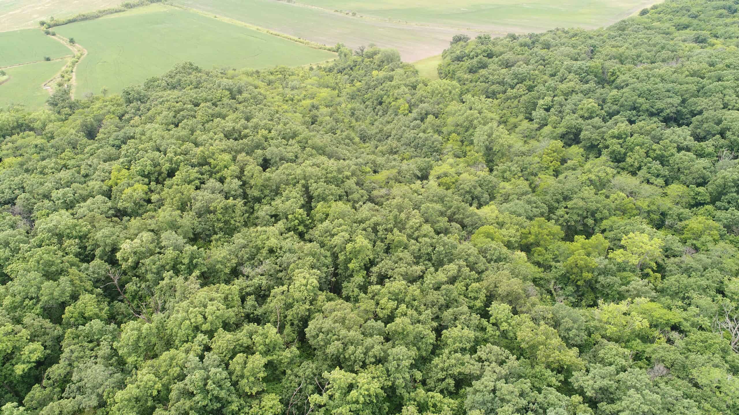Adair County, MO Acreage FOR SALE!
