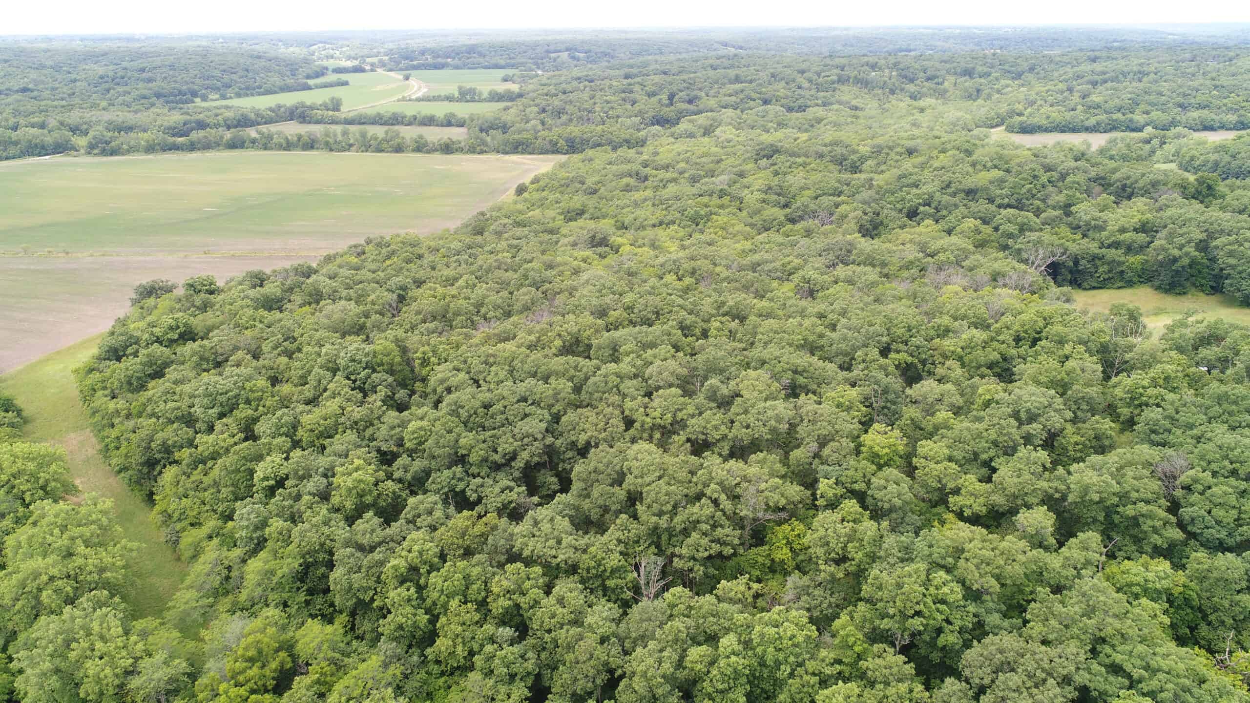 Adair County, MO Acreage FOR SALE!