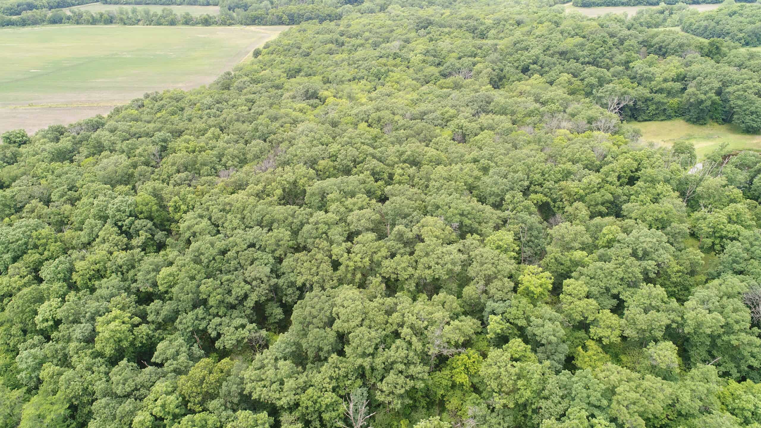Adair County, MO Acreage FOR SALE!