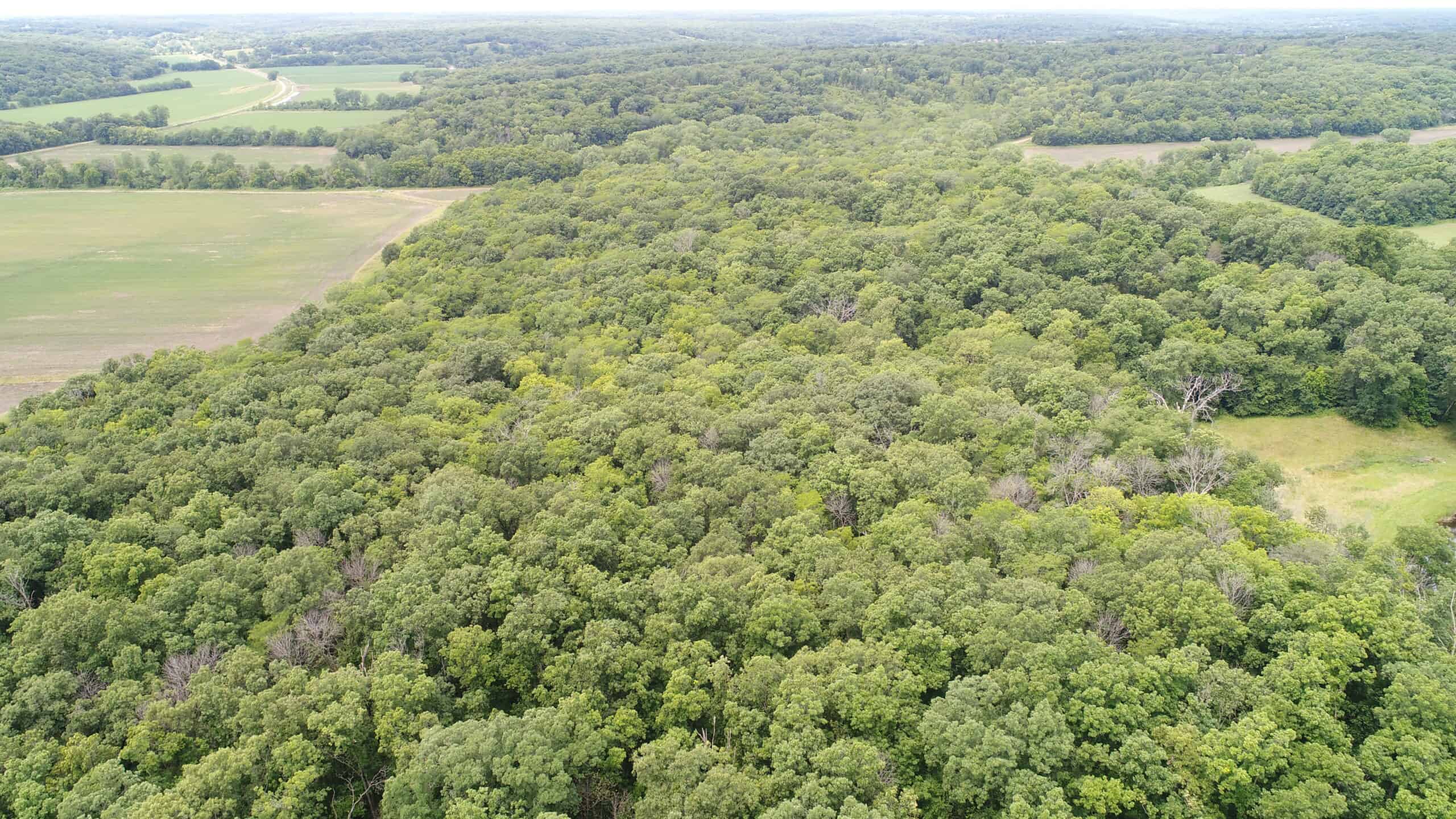 Adair County, MO Acreage FOR SALE!