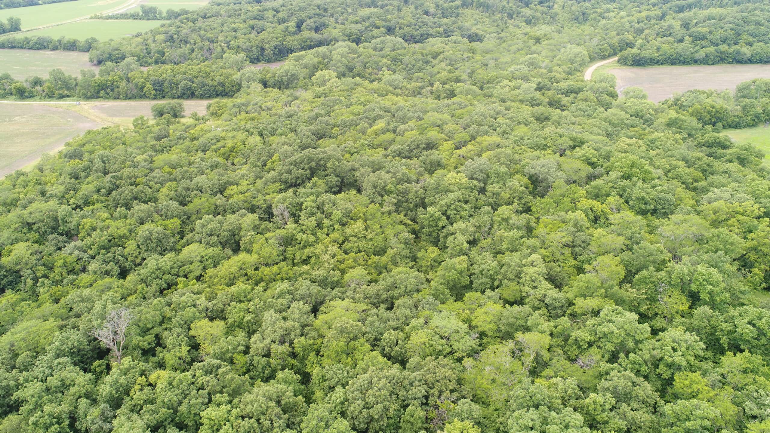 Adair County, MO Acreage FOR SALE!