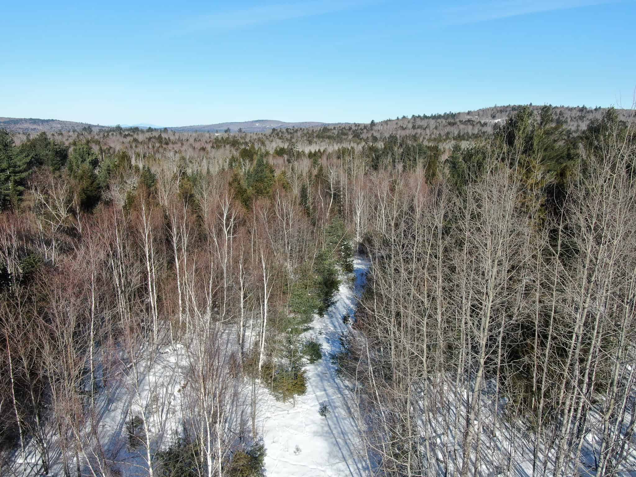 Maine Timberland Lot for Sale