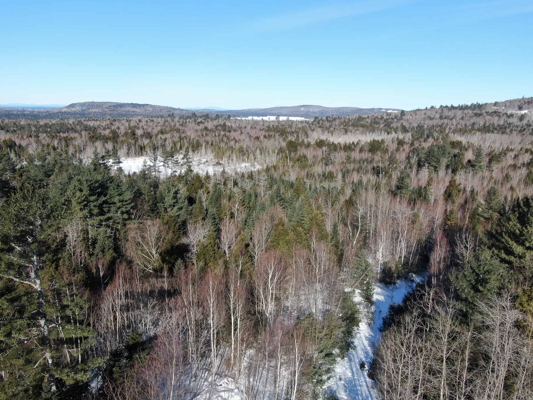 Maine Timberland Lot for Sale