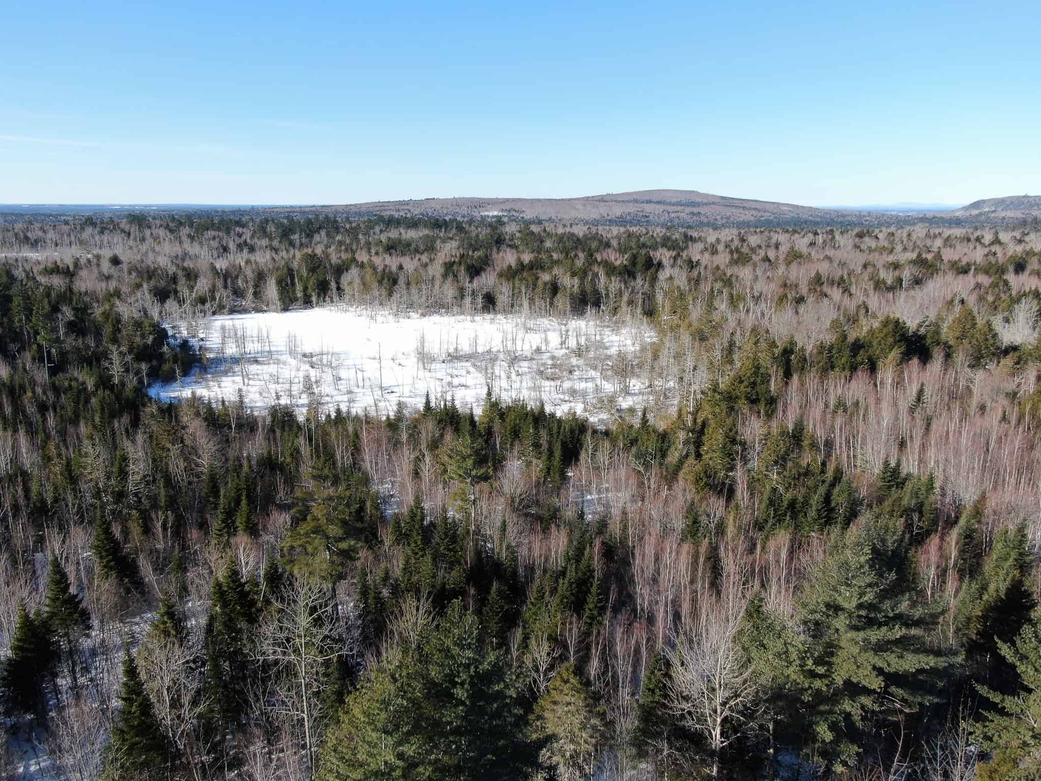 Maine Timberland Lot for Sale
