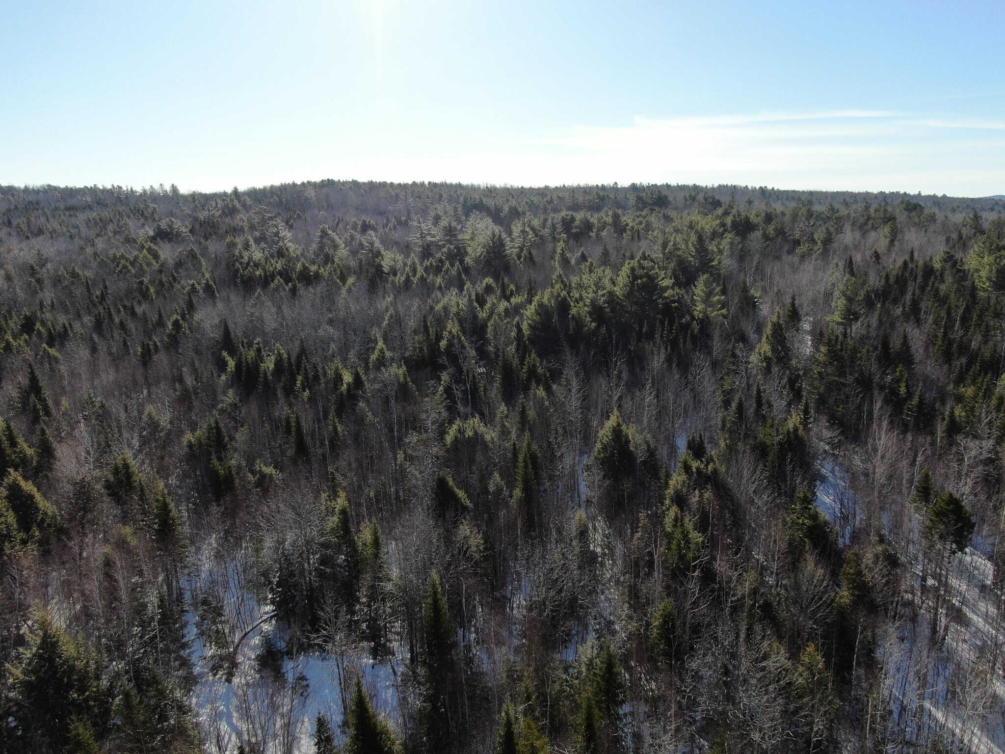 Maine Timberland Lot for Sale