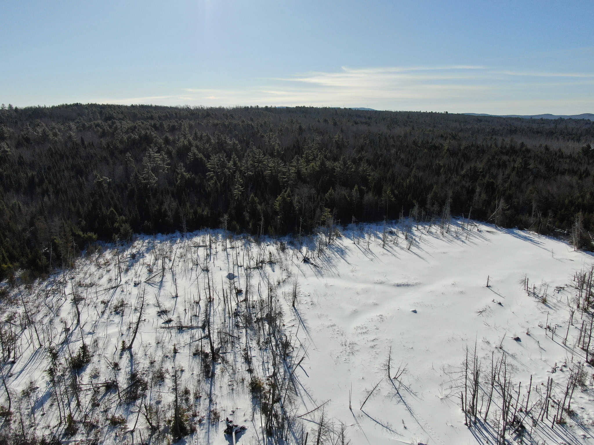 Maine Timberland Lot for Sale