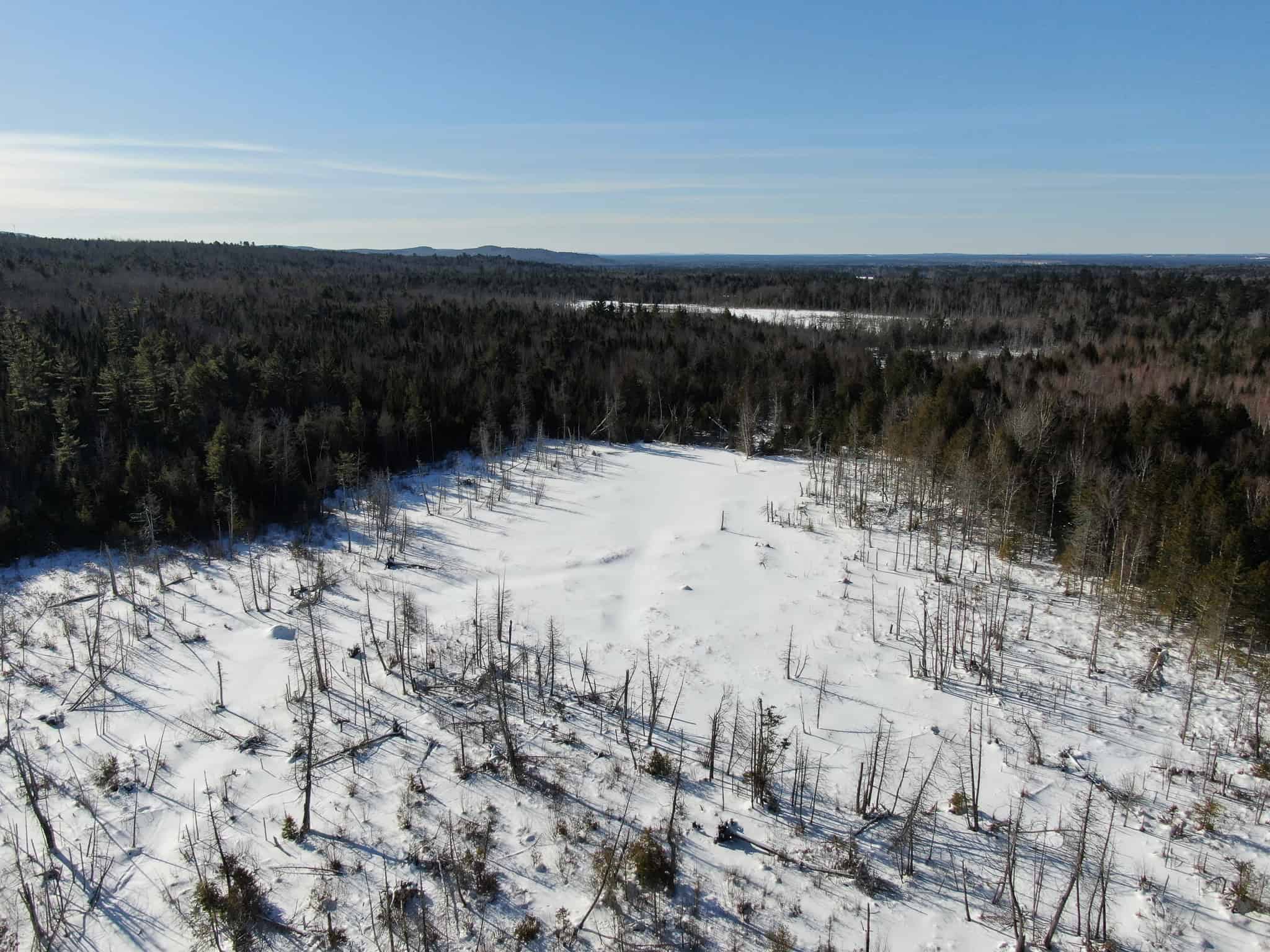 Maine Timberland Lot for Sale